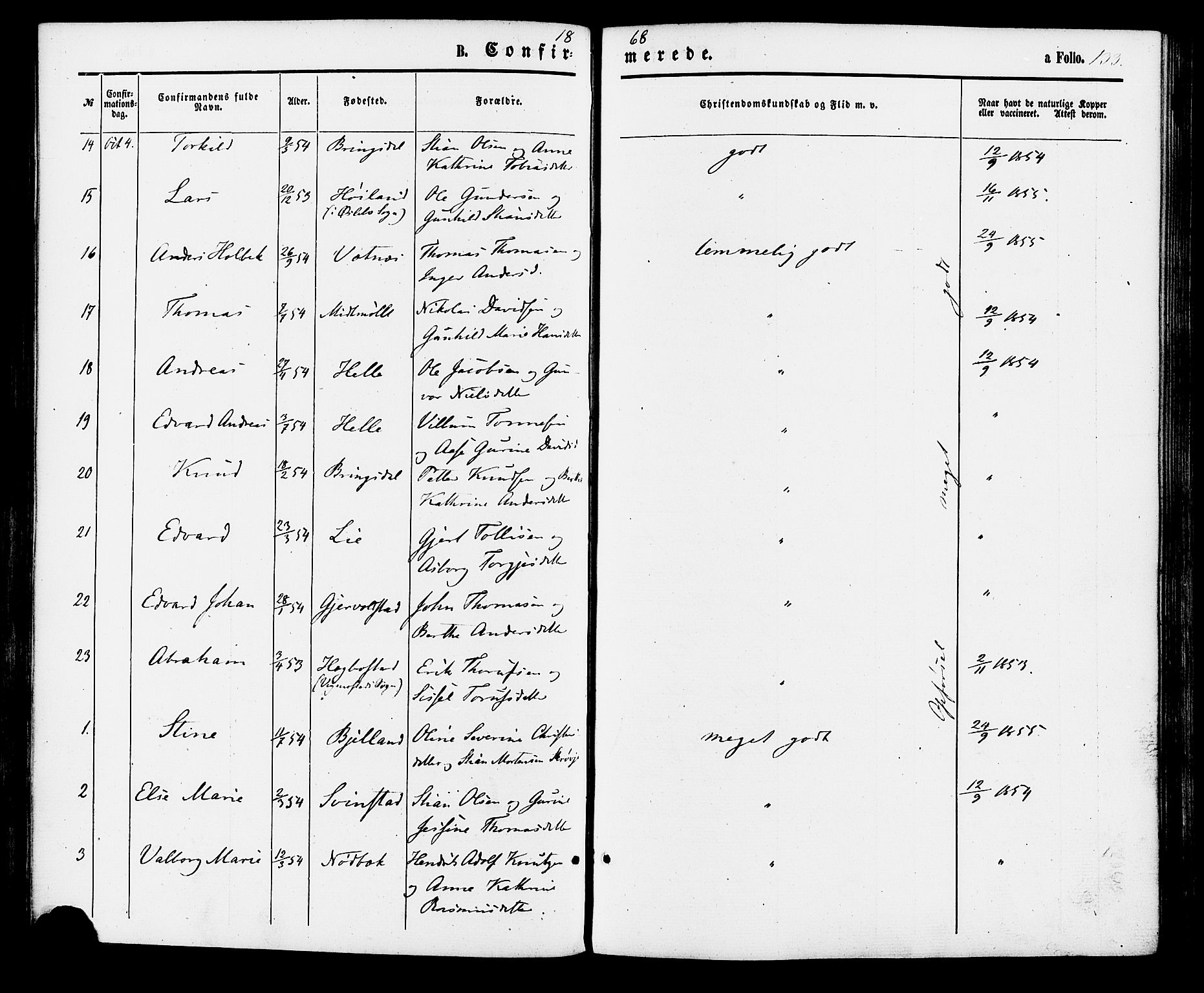 Holum sokneprestkontor, AV/SAK-1111-0022/F/Fa/Faa/L0006: Parish register (official) no. A 6, 1865-1883, p. 133