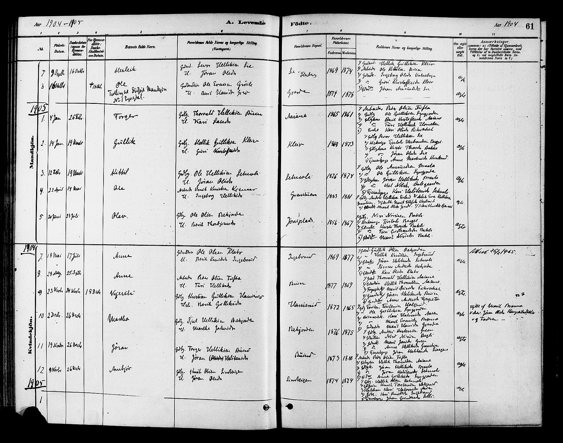 Flesberg kirkebøker, SAKO/A-18/F/Fc/L0001: Parish register (official) no. III 1, 1879-1905, p. 61