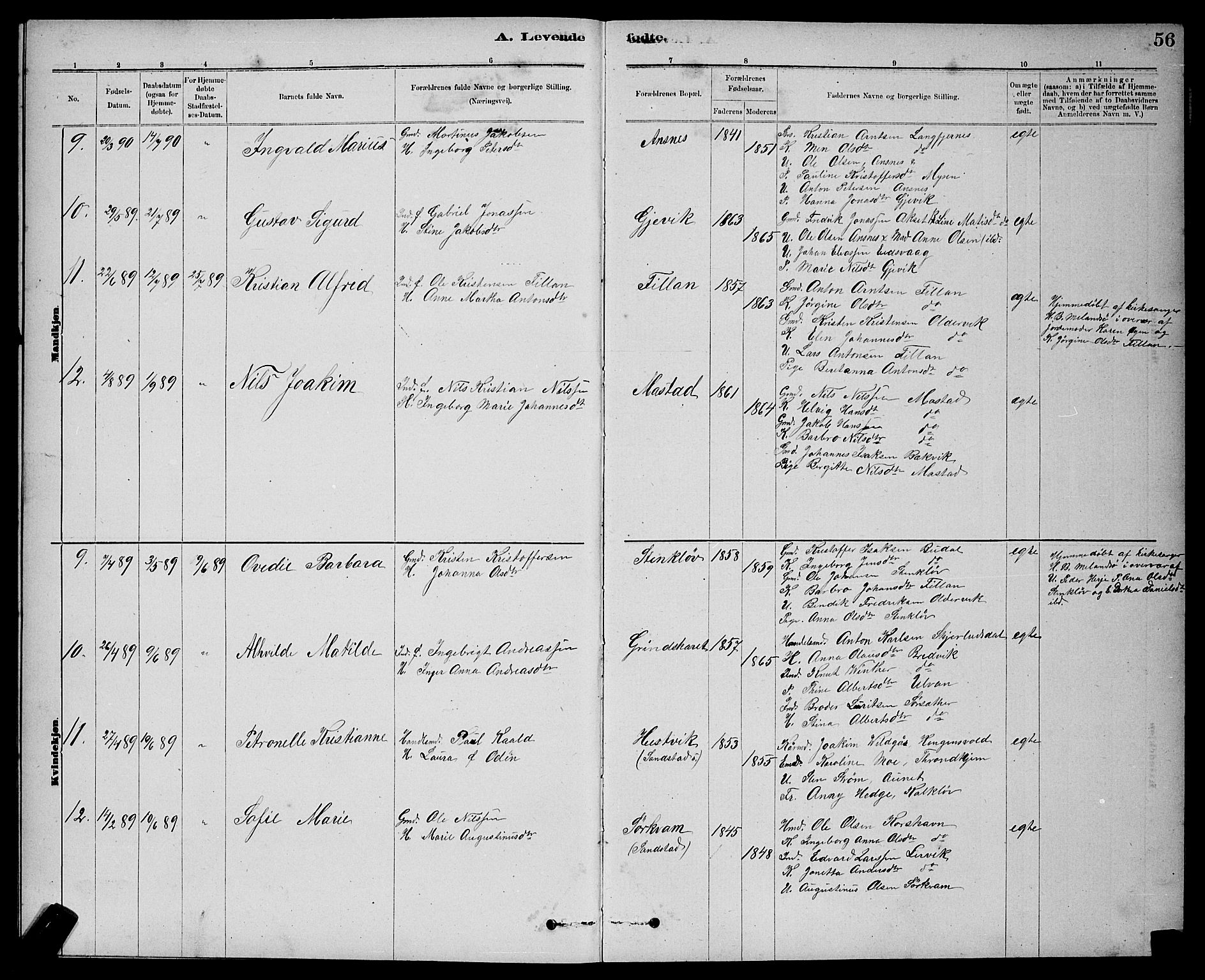 Ministerialprotokoller, klokkerbøker og fødselsregistre - Sør-Trøndelag, AV/SAT-A-1456/637/L0562: Parish register (copy) no. 637C03, 1883-1898, p. 56