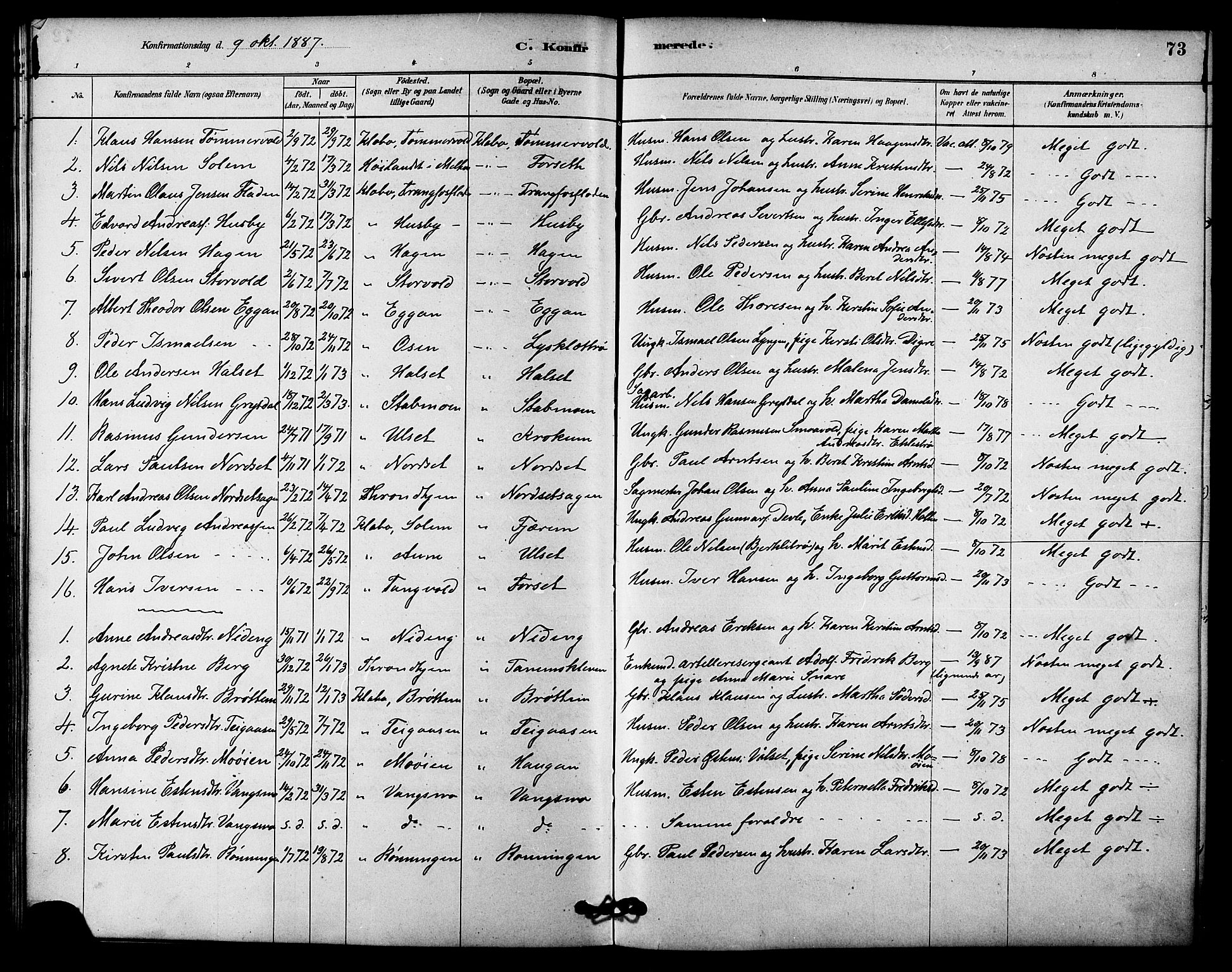 Ministerialprotokoller, klokkerbøker og fødselsregistre - Sør-Trøndelag, AV/SAT-A-1456/618/L0444: Parish register (official) no. 618A07, 1880-1898, p. 73