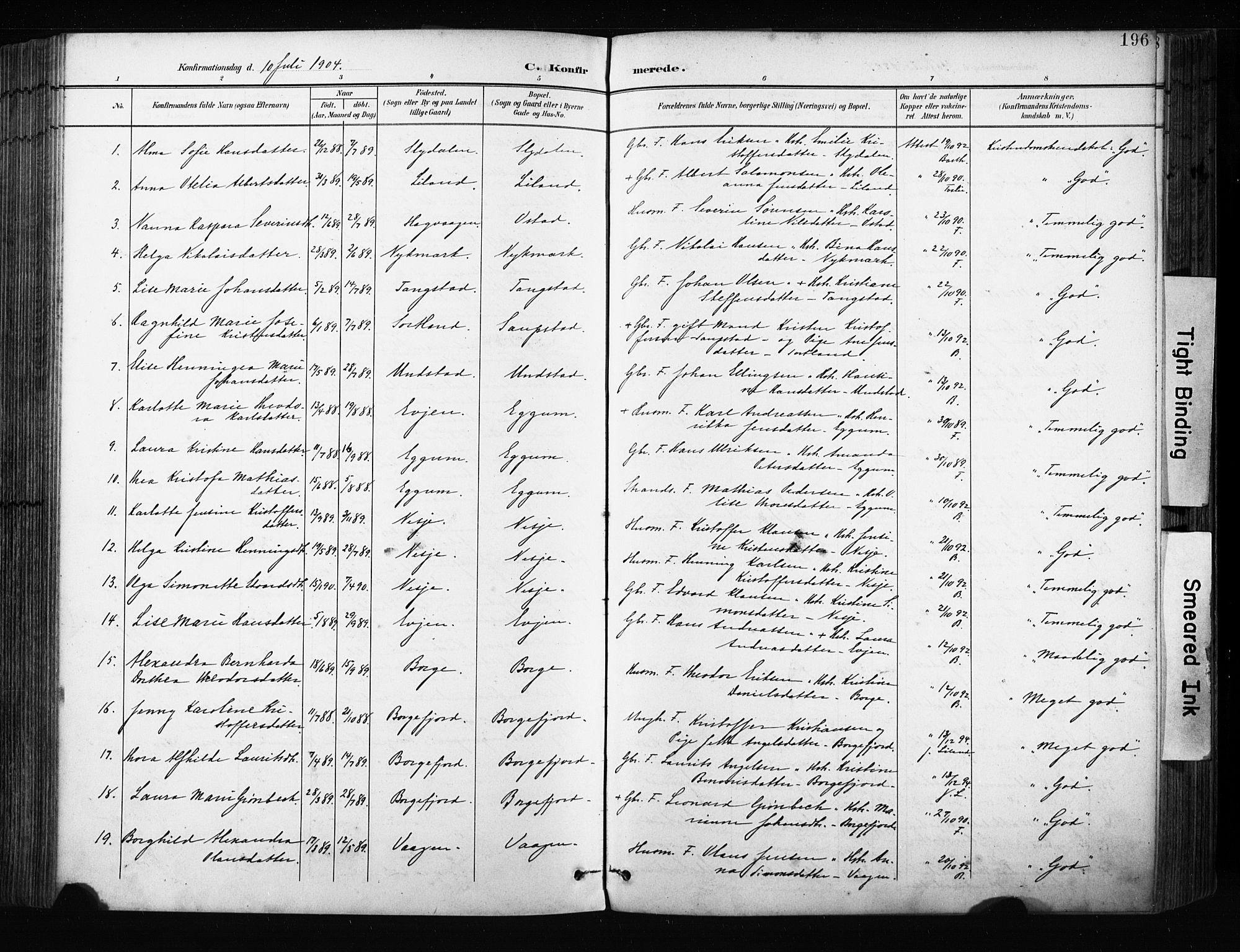 Ministerialprotokoller, klokkerbøker og fødselsregistre - Nordland, AV/SAT-A-1459/880/L1134: Parish register (official) no. 880A08, 1899-1908, p. 196