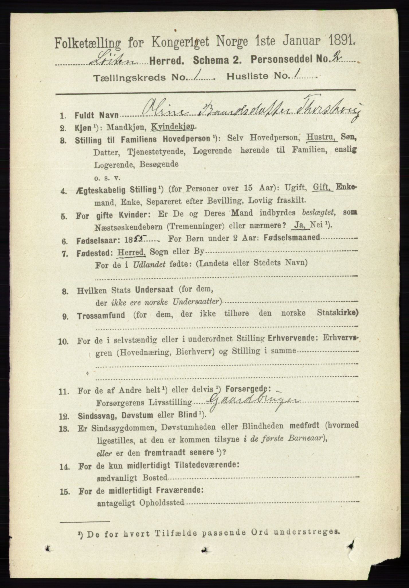 RA, 1891 census for 0415 Løten, 1891, p. 250