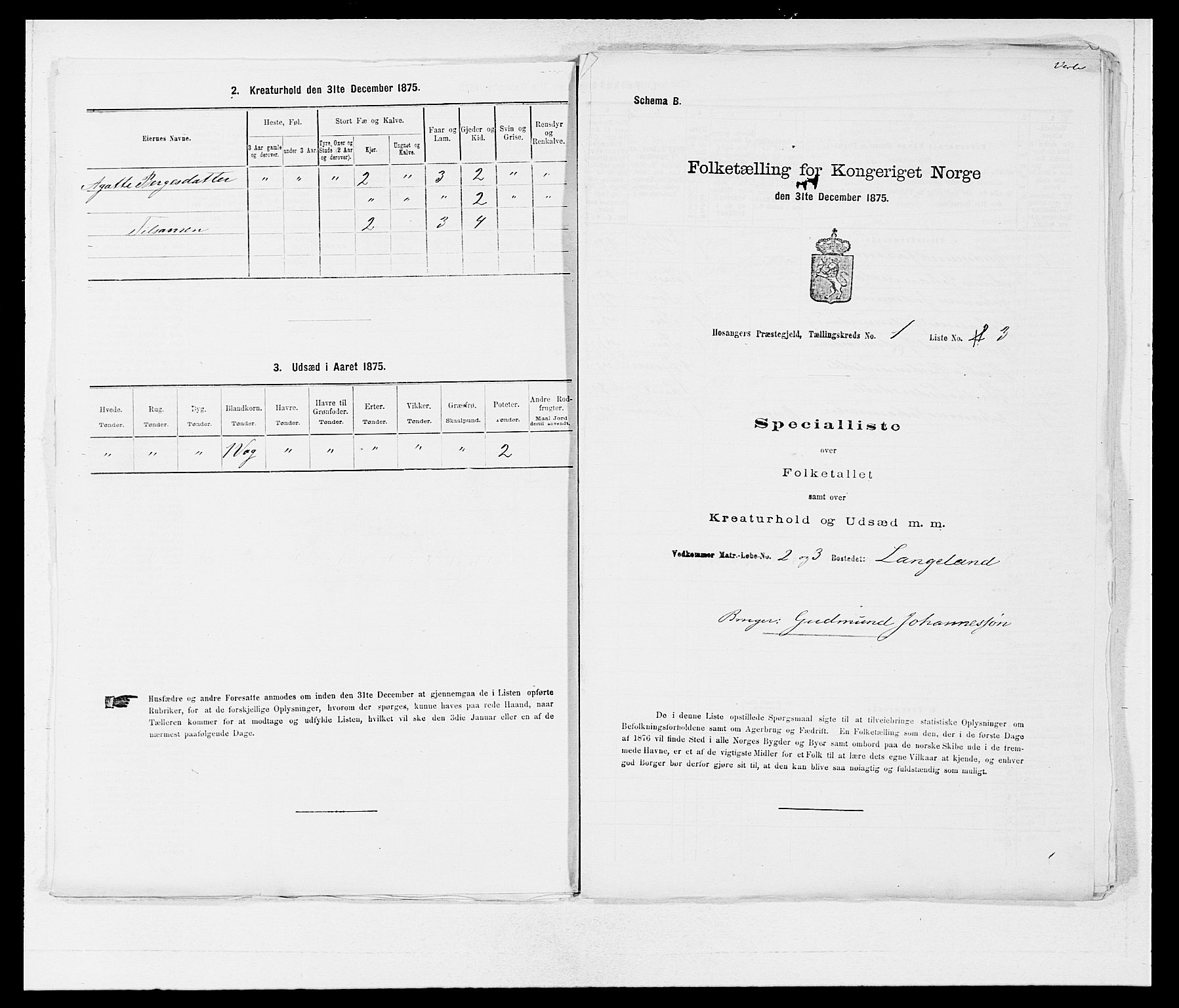 SAB, 1875 census for 1253P Hosanger, 1875, p. 41