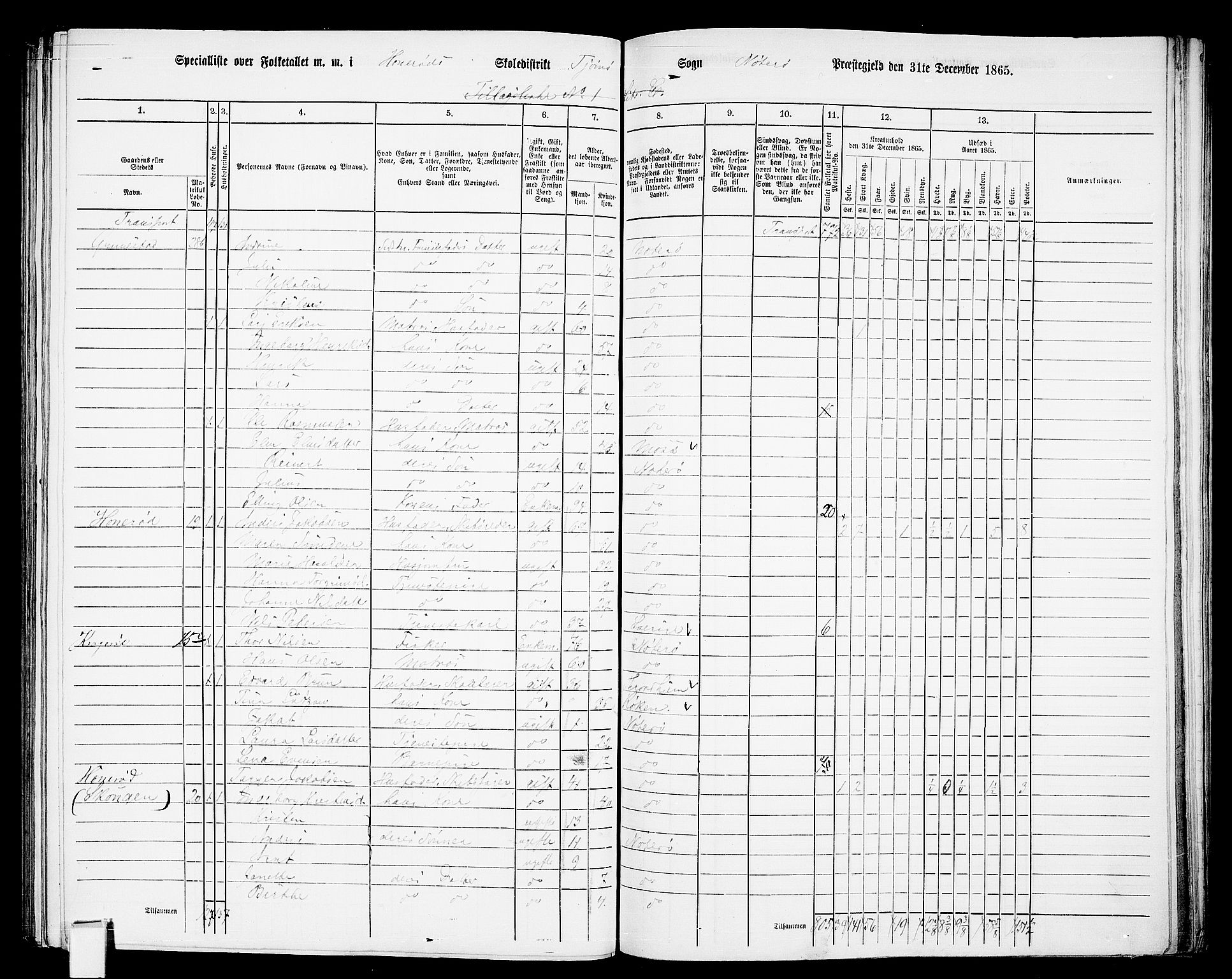 RA, 1865 census for Nøtterøy, 1865, p. 230