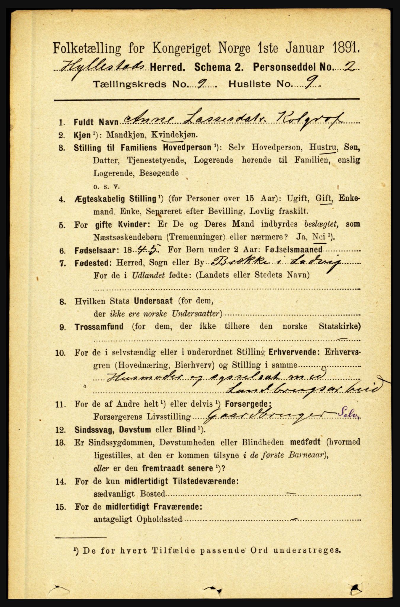 RA, 1891 census for 1413 Hyllestad, 1891, p. 1617