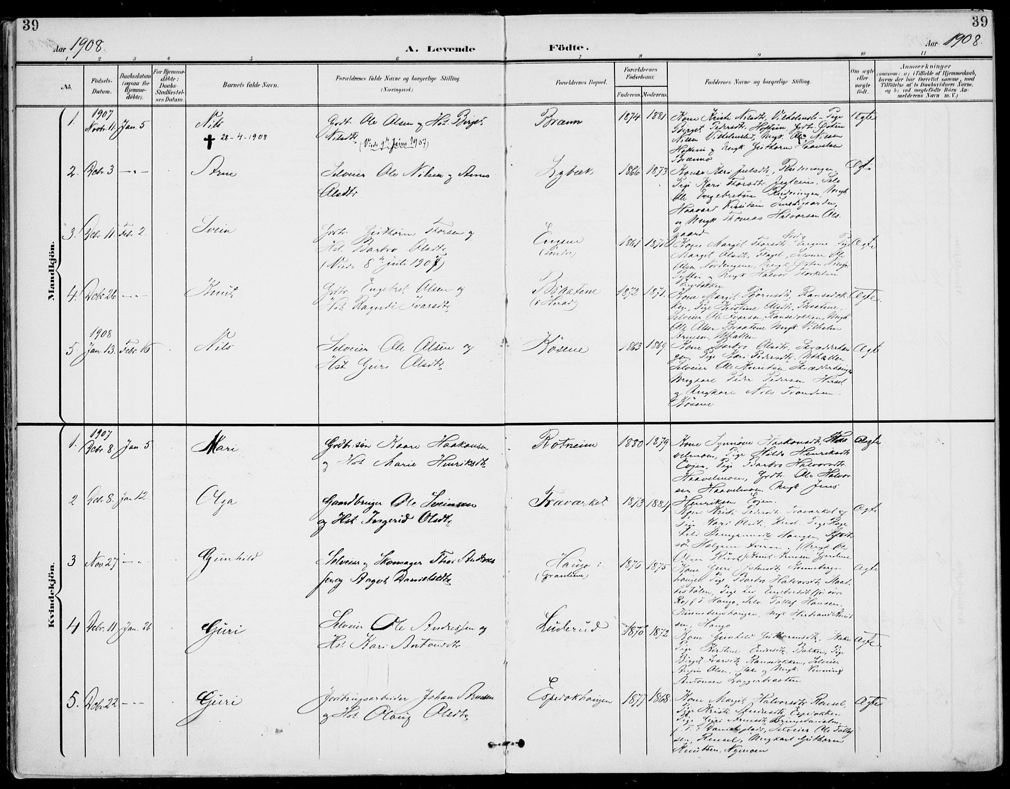 Gol kirkebøker, AV/SAKO-A-226/F/Fa/L0006: Parish register (official) no. I 6, 1901-1918, p. 39