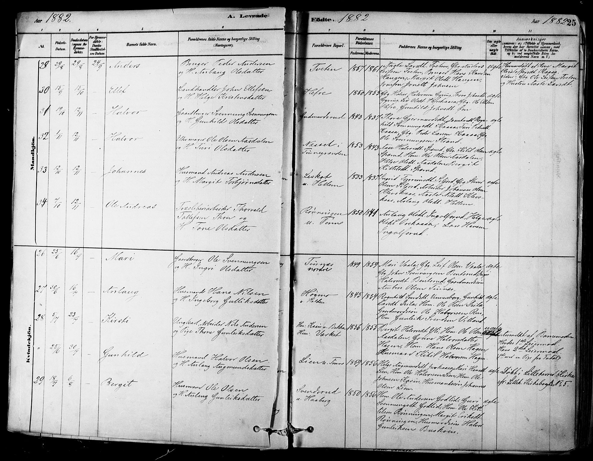 Heddal kirkebøker, AV/SAKO-A-268/F/Fa/L0008: Parish register (official) no. I 8, 1878-1903, p. 25