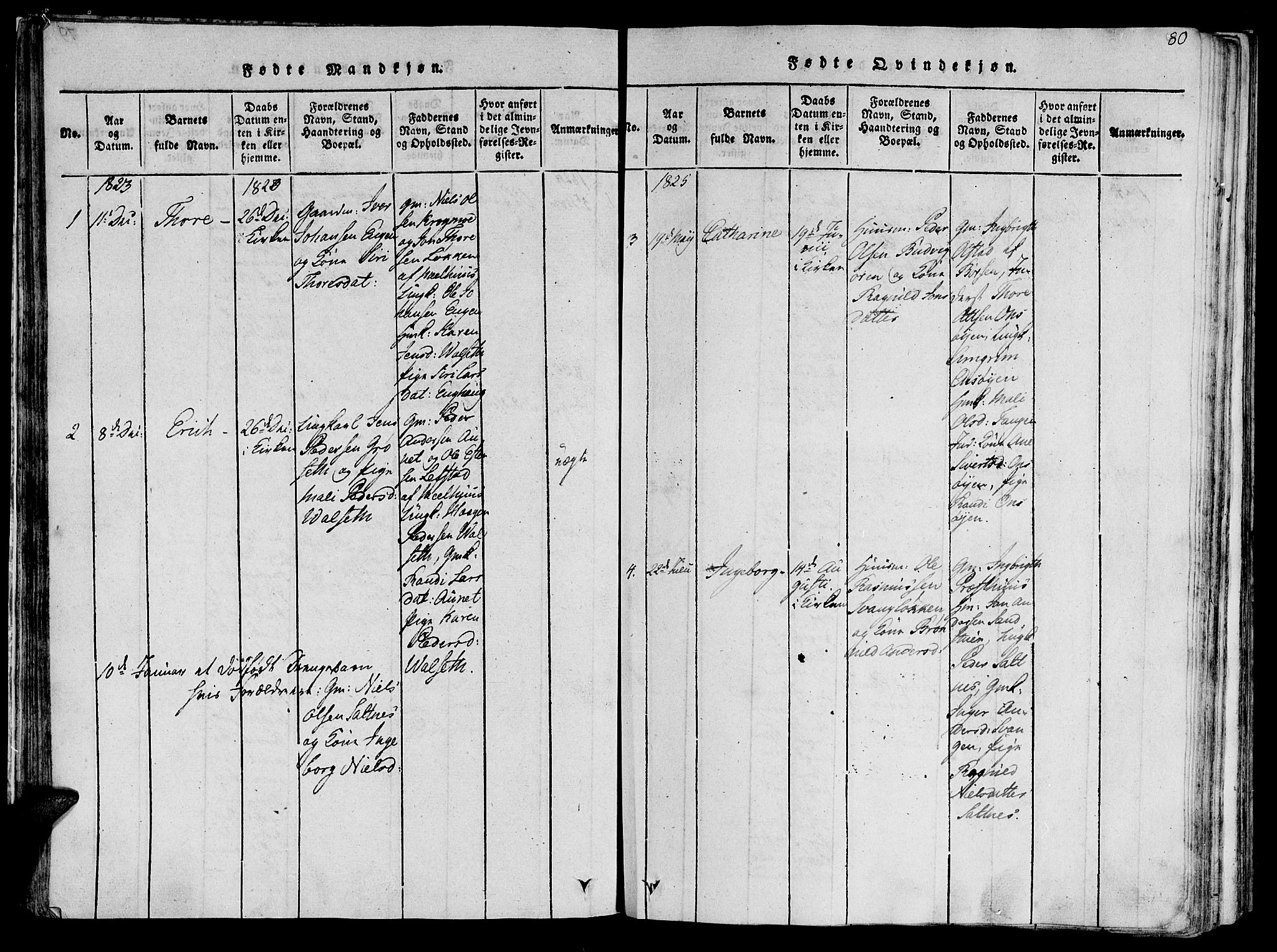 Ministerialprotokoller, klokkerbøker og fødselsregistre - Sør-Trøndelag, SAT/A-1456/612/L0373: Parish register (official) no. 612A06 /2, 1816-1828, p. 80