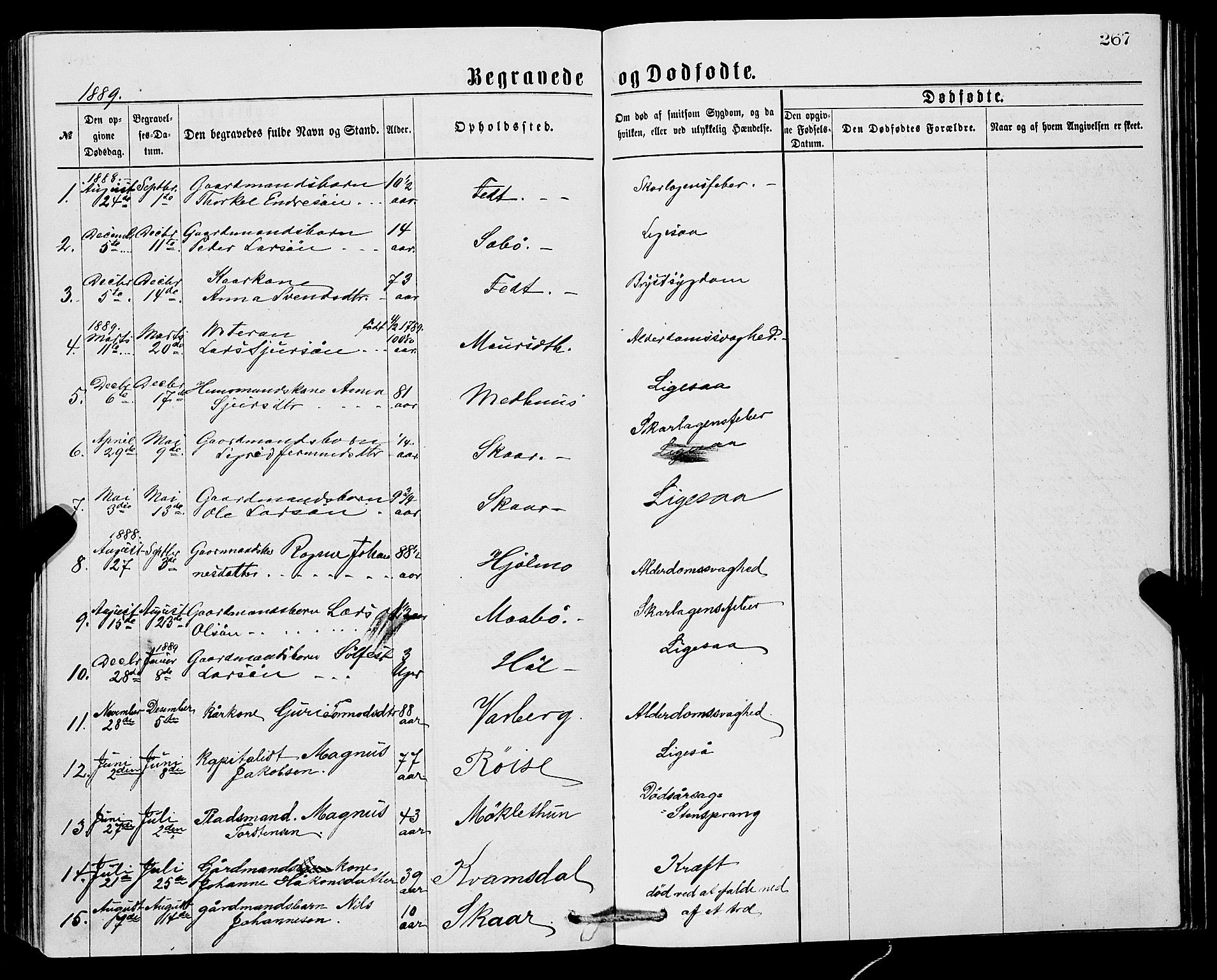 Ullensvang sokneprestembete, SAB/A-78701/H/Hab: Parish register (copy) no. C 2, 1871-1899, p. 267