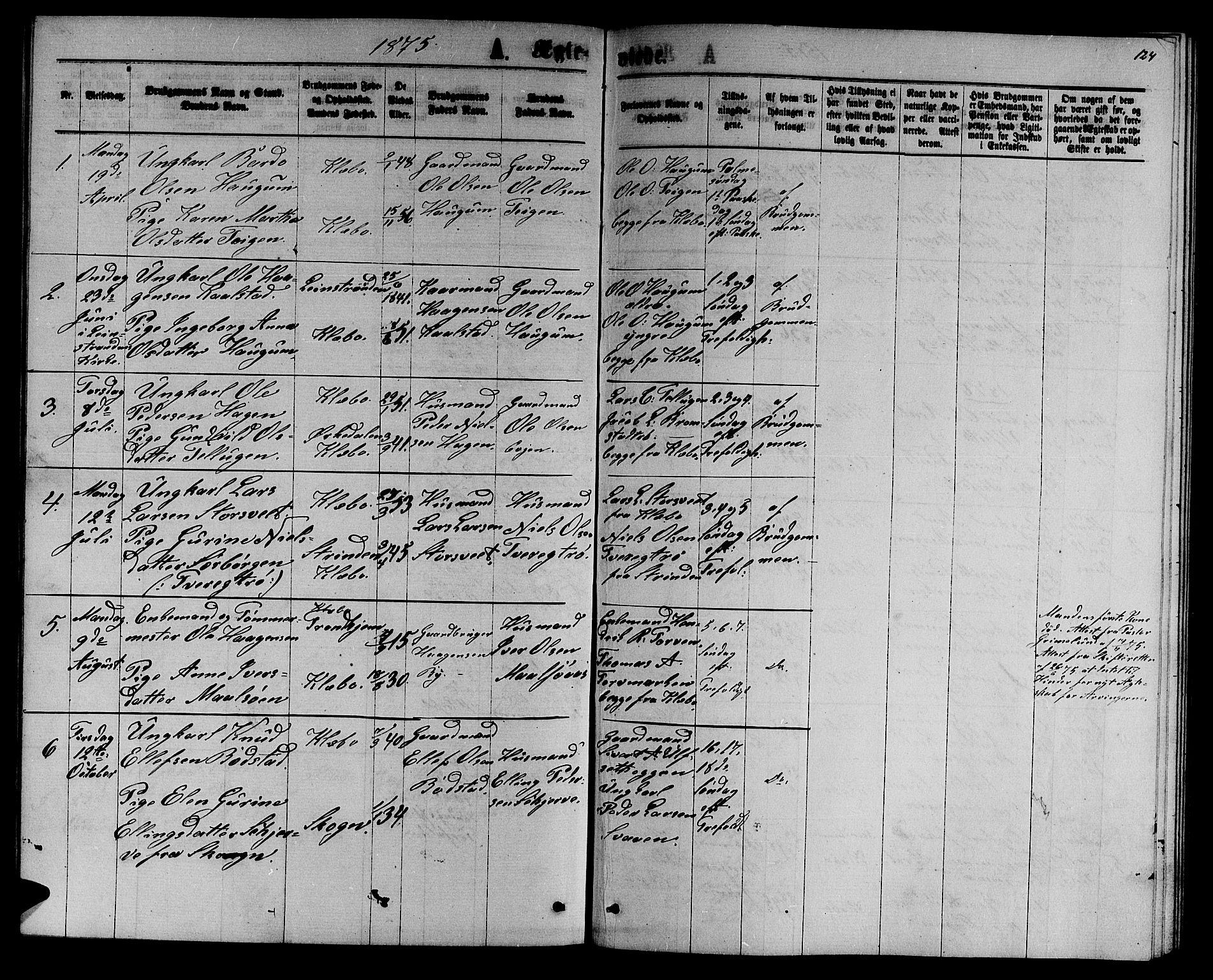 Ministerialprotokoller, klokkerbøker og fødselsregistre - Sør-Trøndelag, AV/SAT-A-1456/618/L0451: Parish register (copy) no. 618C02, 1865-1883, p. 124