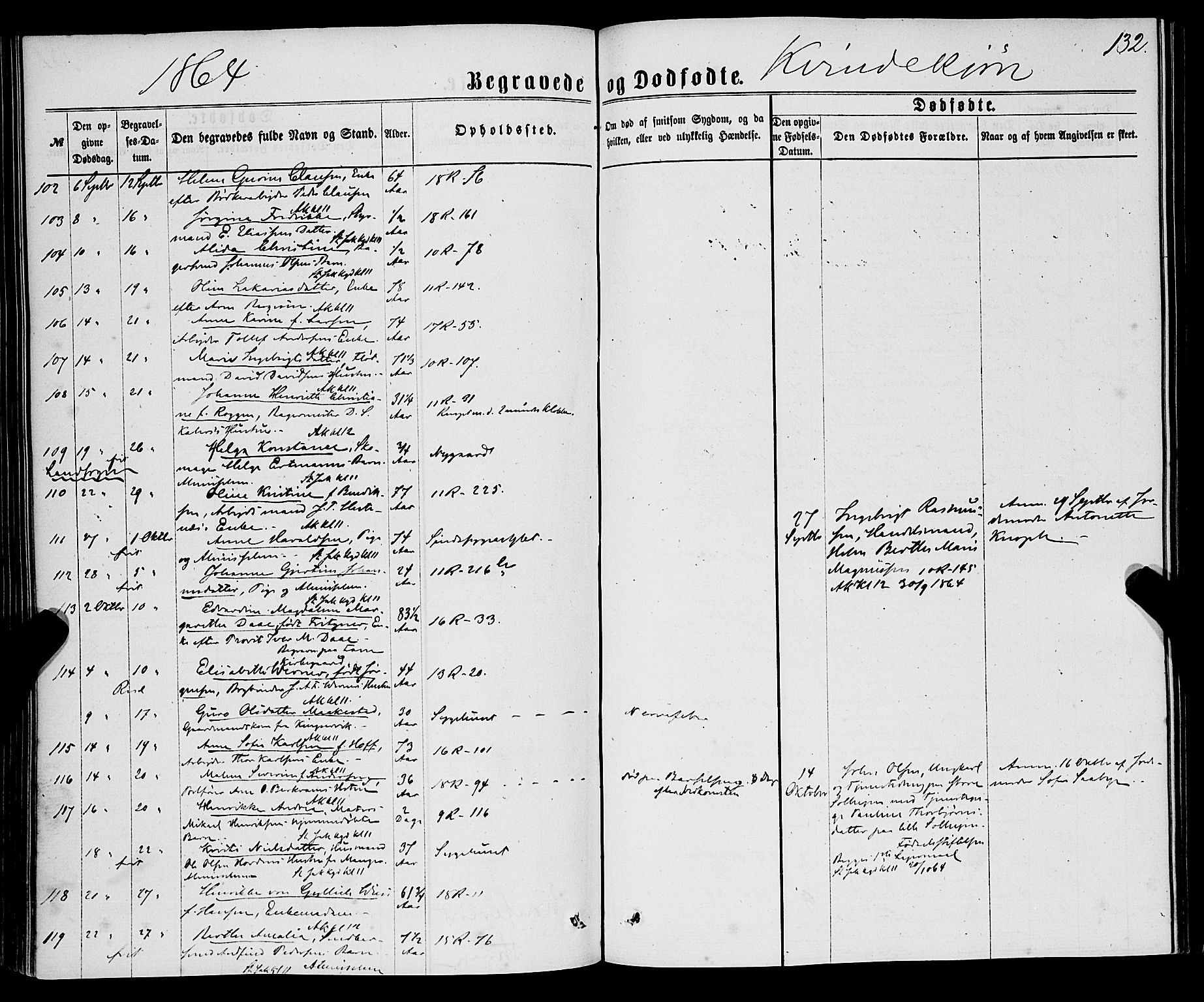 Domkirken sokneprestembete, AV/SAB-A-74801/H/Haa/L0042: Parish register (official) no. E 3, 1863-1876, p. 132