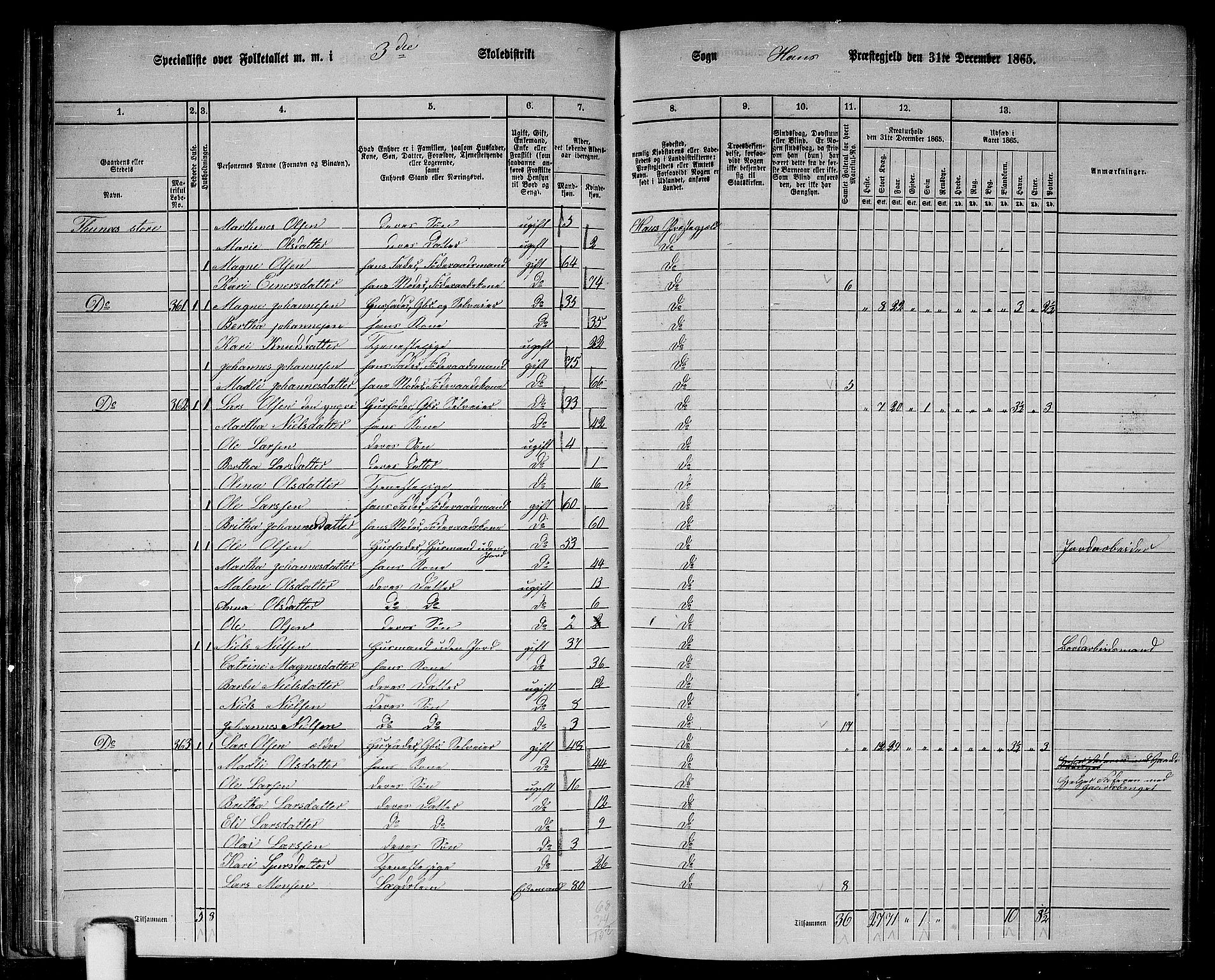 RA, 1865 census for Haus, 1865, p. 60