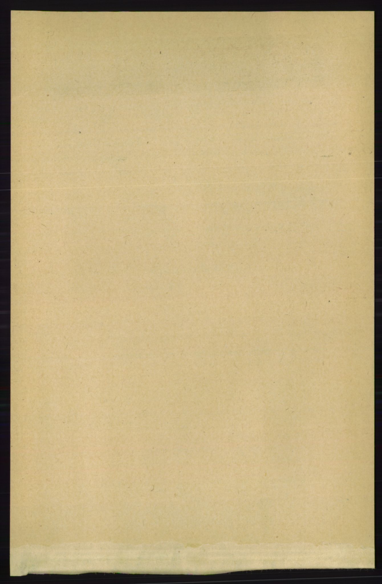 RA, 1891 census for 1152 Torvastad, 1891, p. 1991