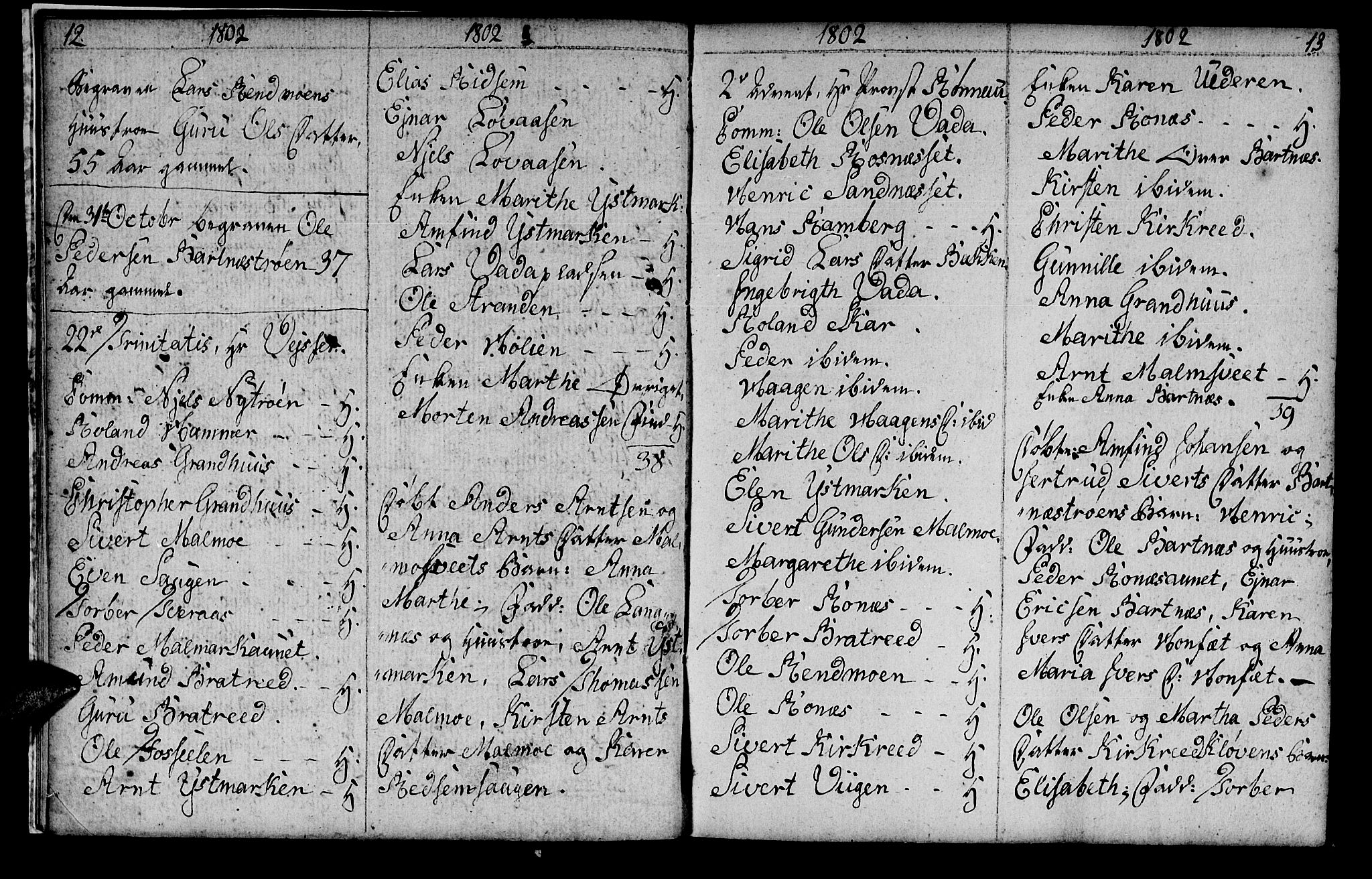 Ministerialprotokoller, klokkerbøker og fødselsregistre - Nord-Trøndelag, SAT/A-1458/745/L0432: Parish register (copy) no. 745C01, 1802-1814, p. 12-13