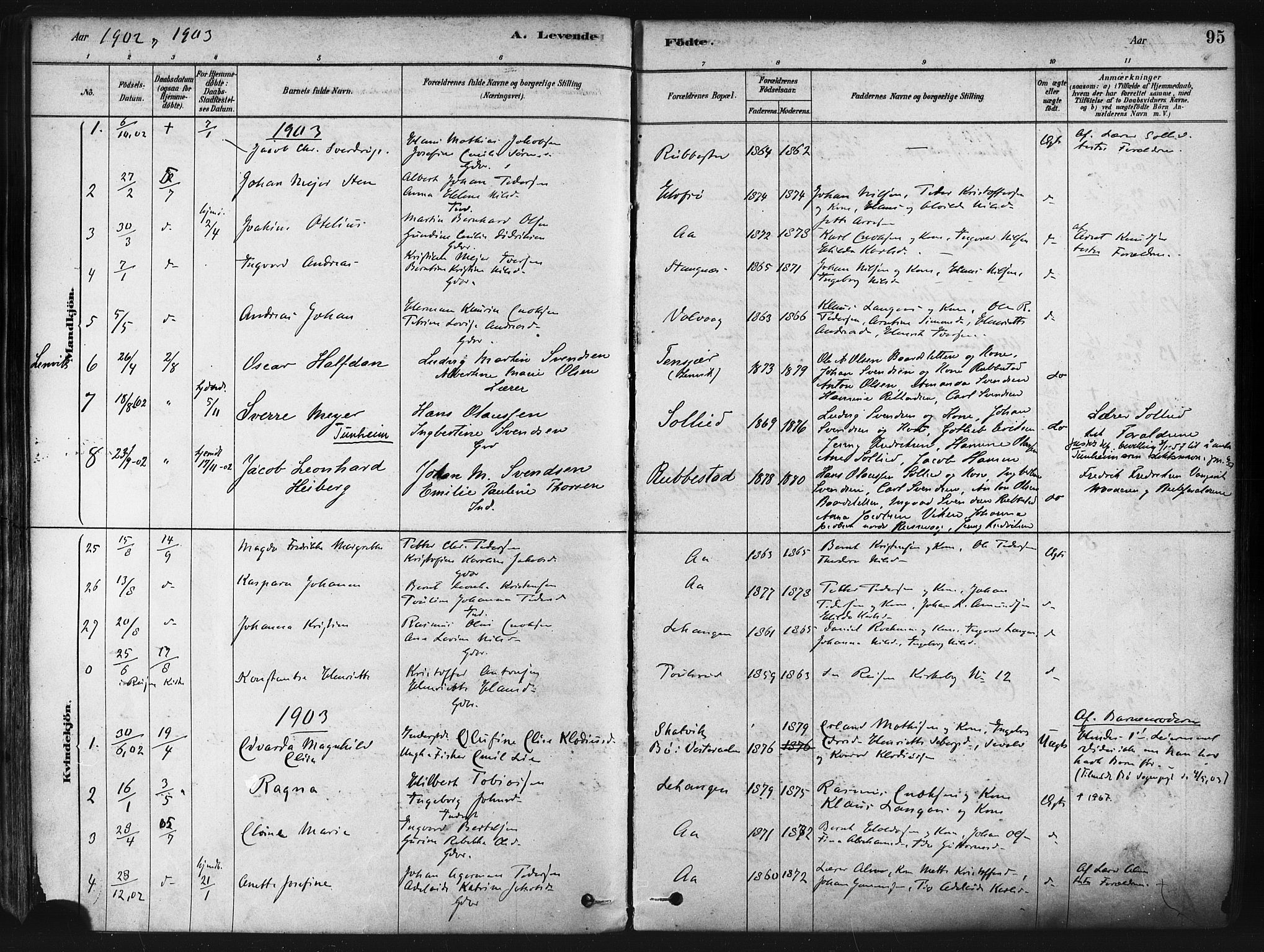 Tranøy sokneprestkontor, AV/SATØ-S-1313/I/Ia/Iaa/L0009kirke: Parish register (official) no. 9, 1878-1904, p. 95