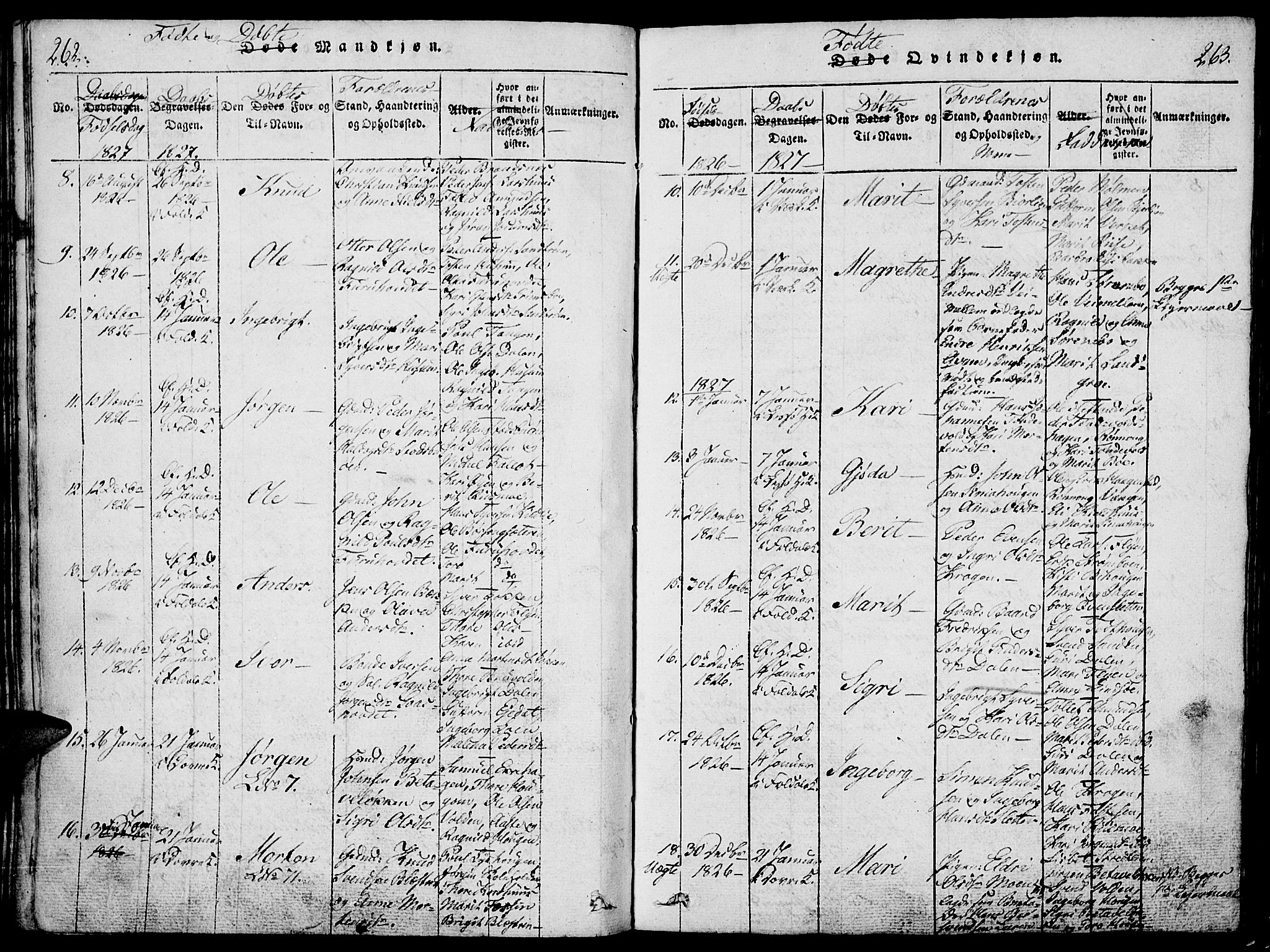 Lesja prestekontor, SAH/PREST-068/H/Ha/Haa/L0004: Parish register (official) no. 4, 1820-1829, p. 262-263