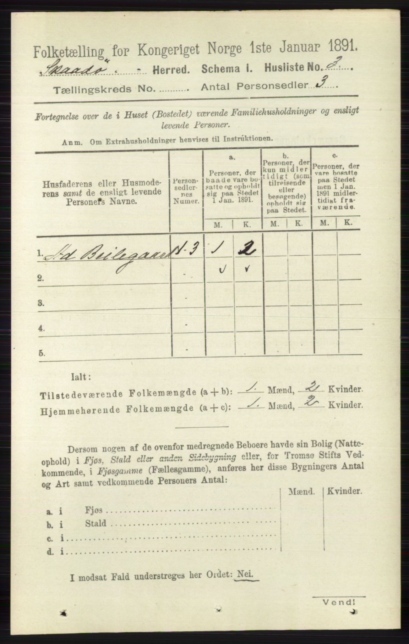 RA, 1891 census for 0815 Skåtøy, 1891, p. 4016