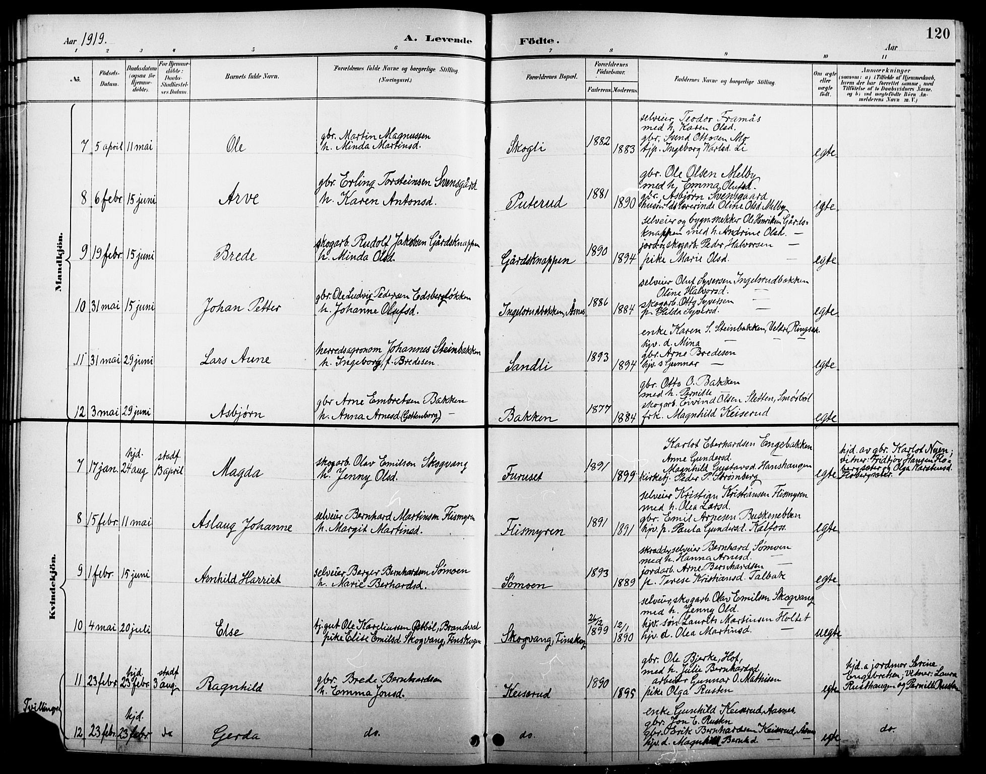 Åsnes prestekontor, AV/SAH-PREST-042/H/Ha/Hab/L0005: Parish register (copy) no. 5, 1895-1920, p. 120