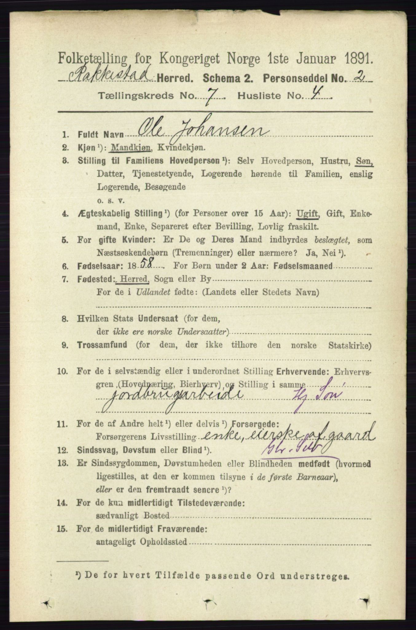 RA, 1891 census for 0128 Rakkestad, 1891, p. 3147