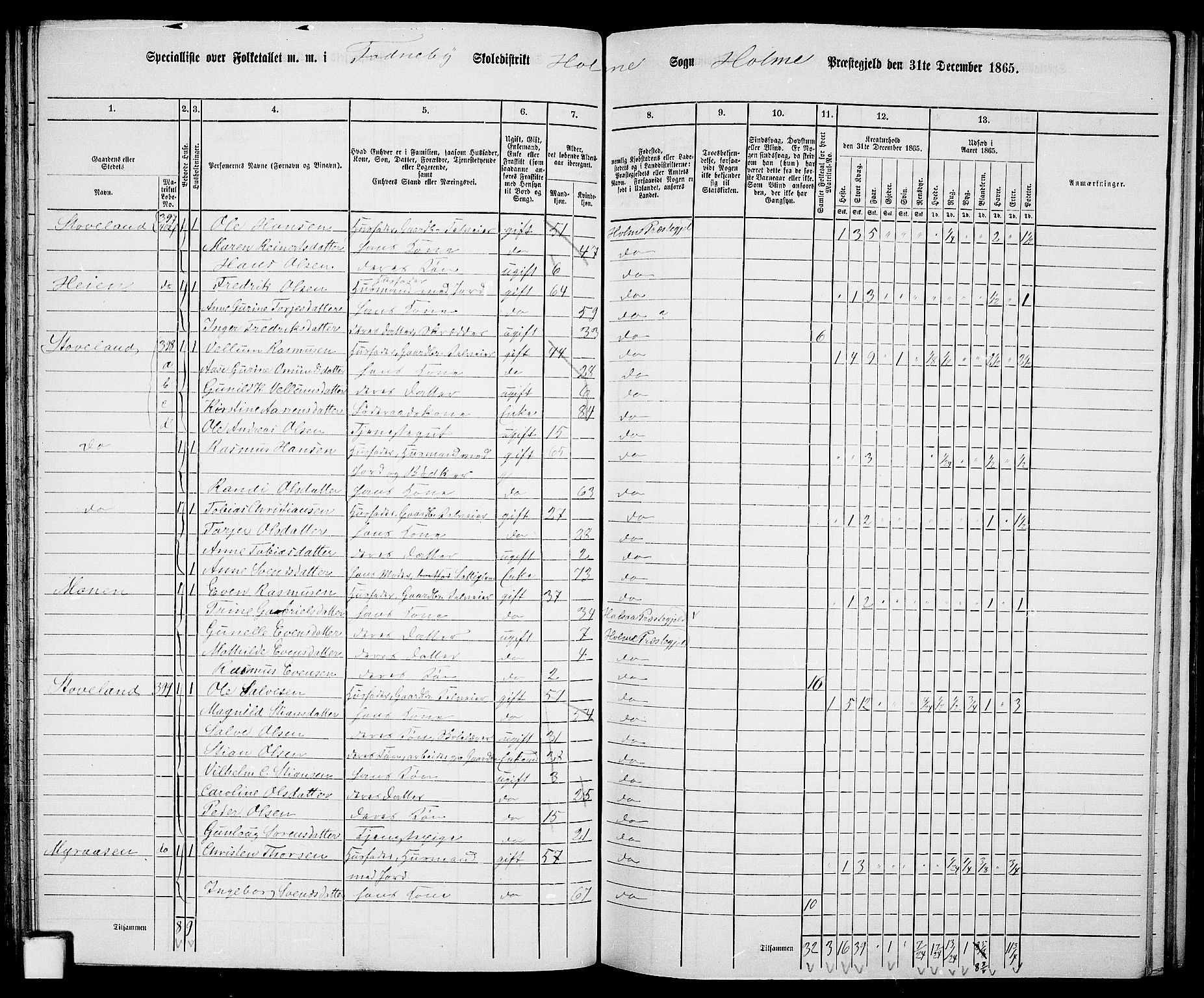 RA, 1865 census for Holum, 1865, p. 58