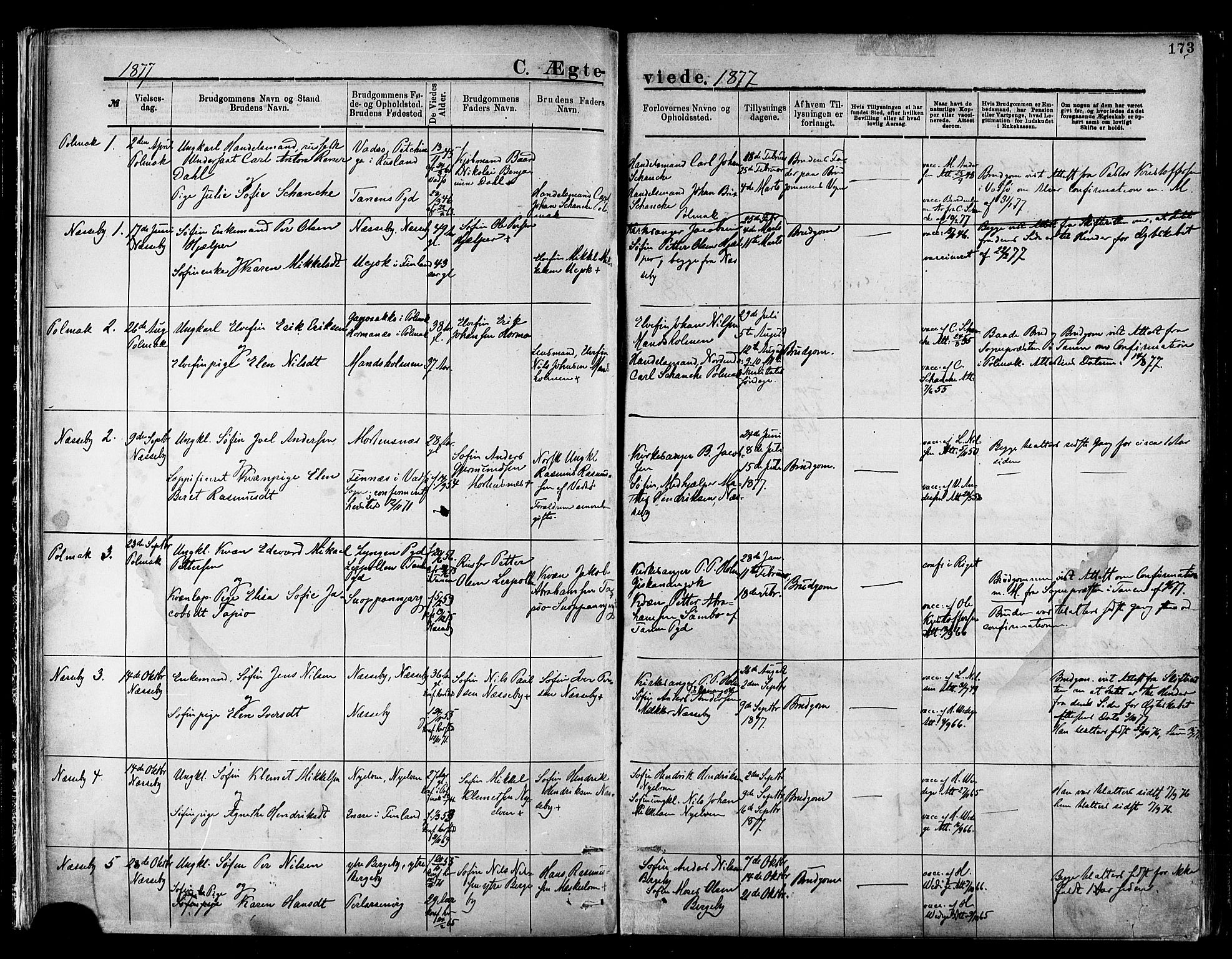 Nesseby sokneprestkontor, SATØ/S-1330/H/Ha/L0004kirke: Parish register (official) no. 4, 1877-1884, p. 173