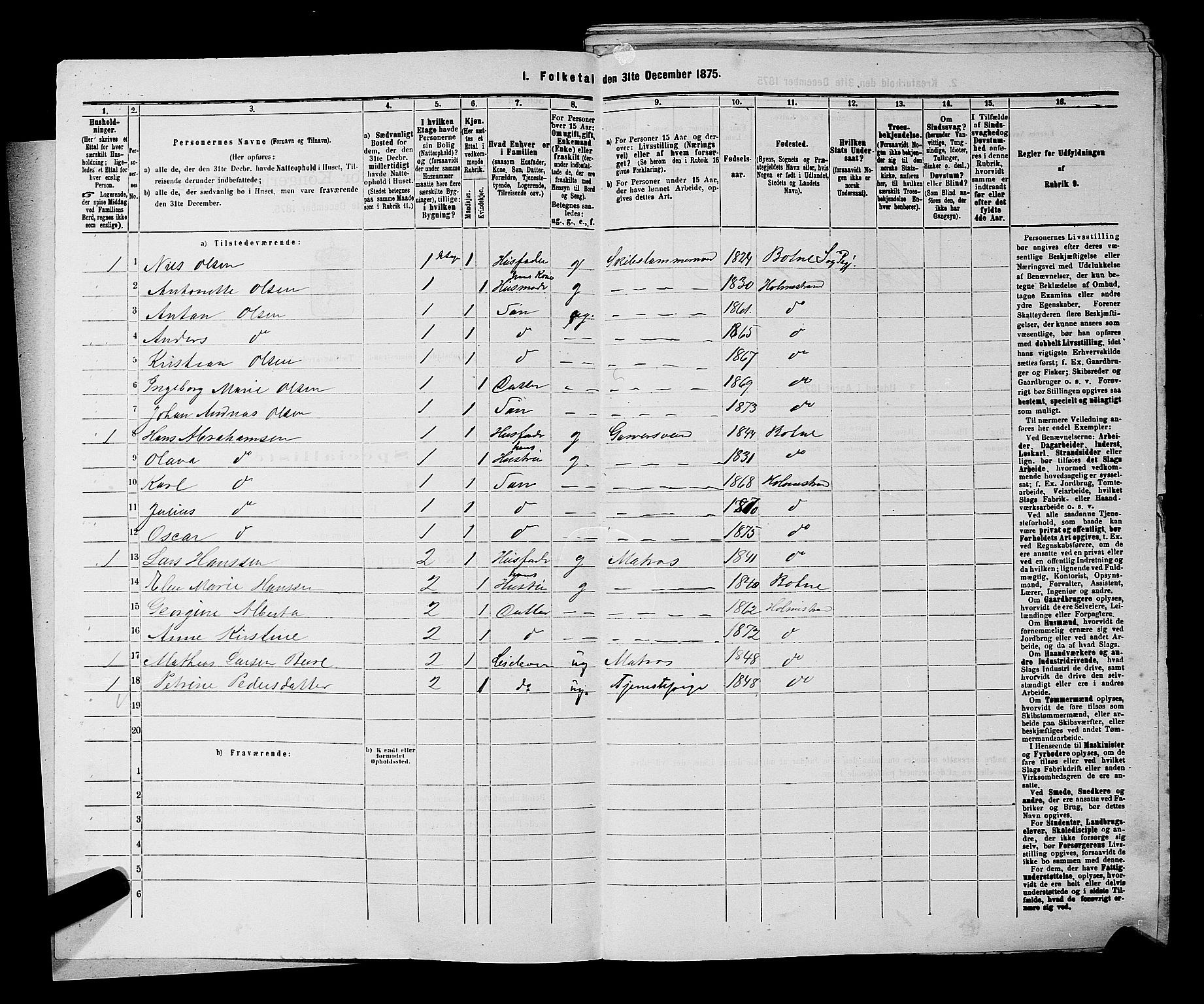 SAKO, 1875 census for 0702P Holmestrand, 1875, p. 14