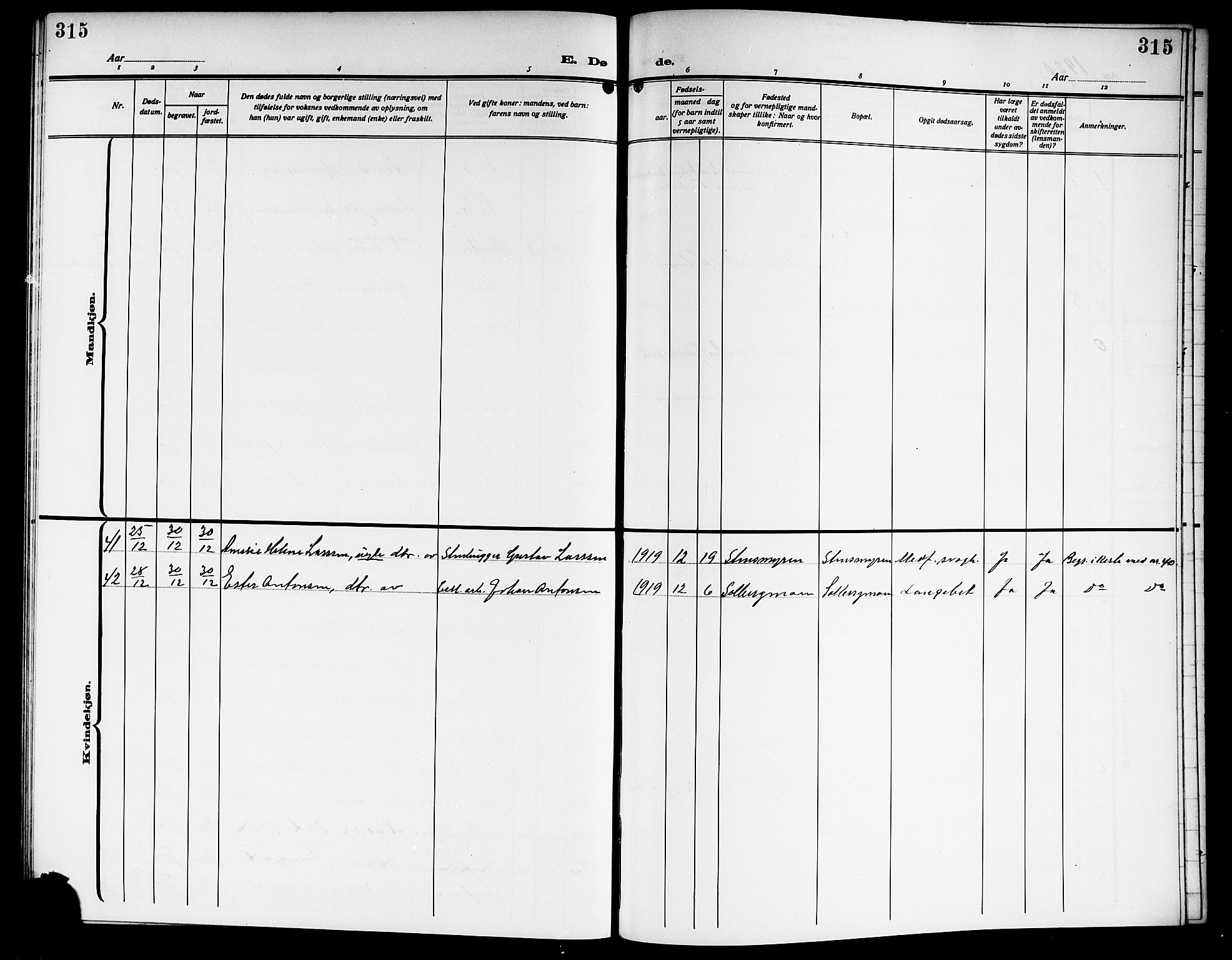 Nedre Eiker kirkebøker, SAKO/A-612/G/Ga/L0005: Parish register (copy) no. 5, 1913-1921, p. 315