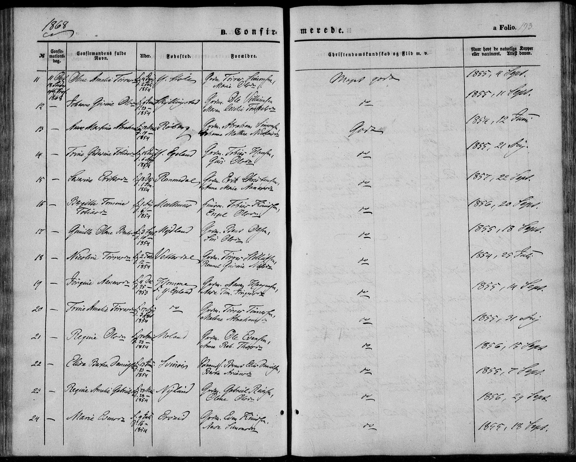 Sør-Audnedal sokneprestkontor, AV/SAK-1111-0039/F/Fa/Fab/L0007: Parish register (official) no. A 7, 1855-1876, p. 193