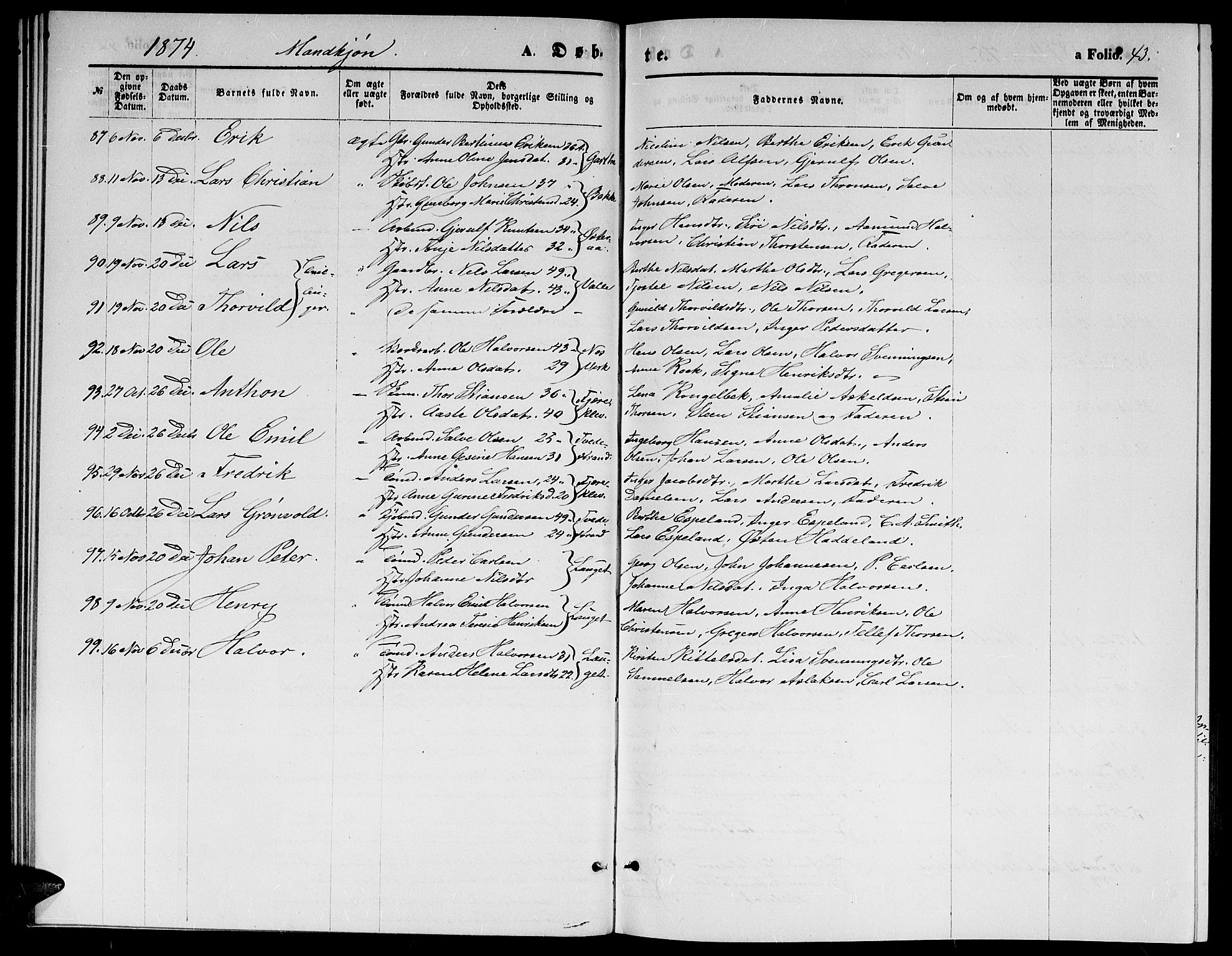 Holt sokneprestkontor, SAK/1111-0021/F/Fb/L0009: Parish register (copy) no. B 9, 1871-1883, p. 43