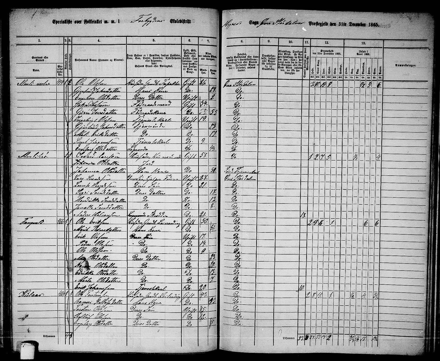 RA, 1865 census for Øvre Stjørdal, 1865, p. 111