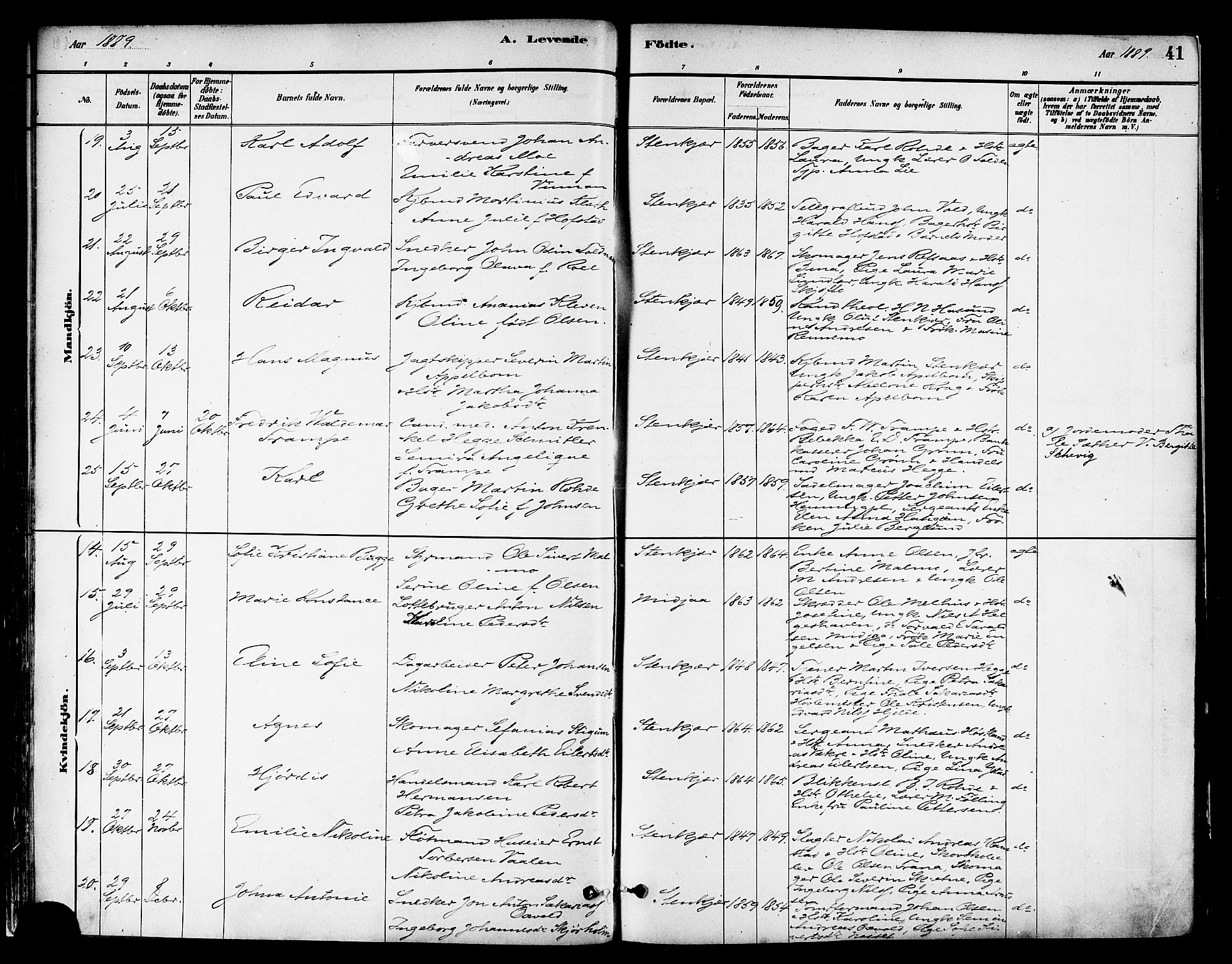 Ministerialprotokoller, klokkerbøker og fødselsregistre - Nord-Trøndelag, AV/SAT-A-1458/739/L0371: Parish register (official) no. 739A03, 1881-1895, p. 41