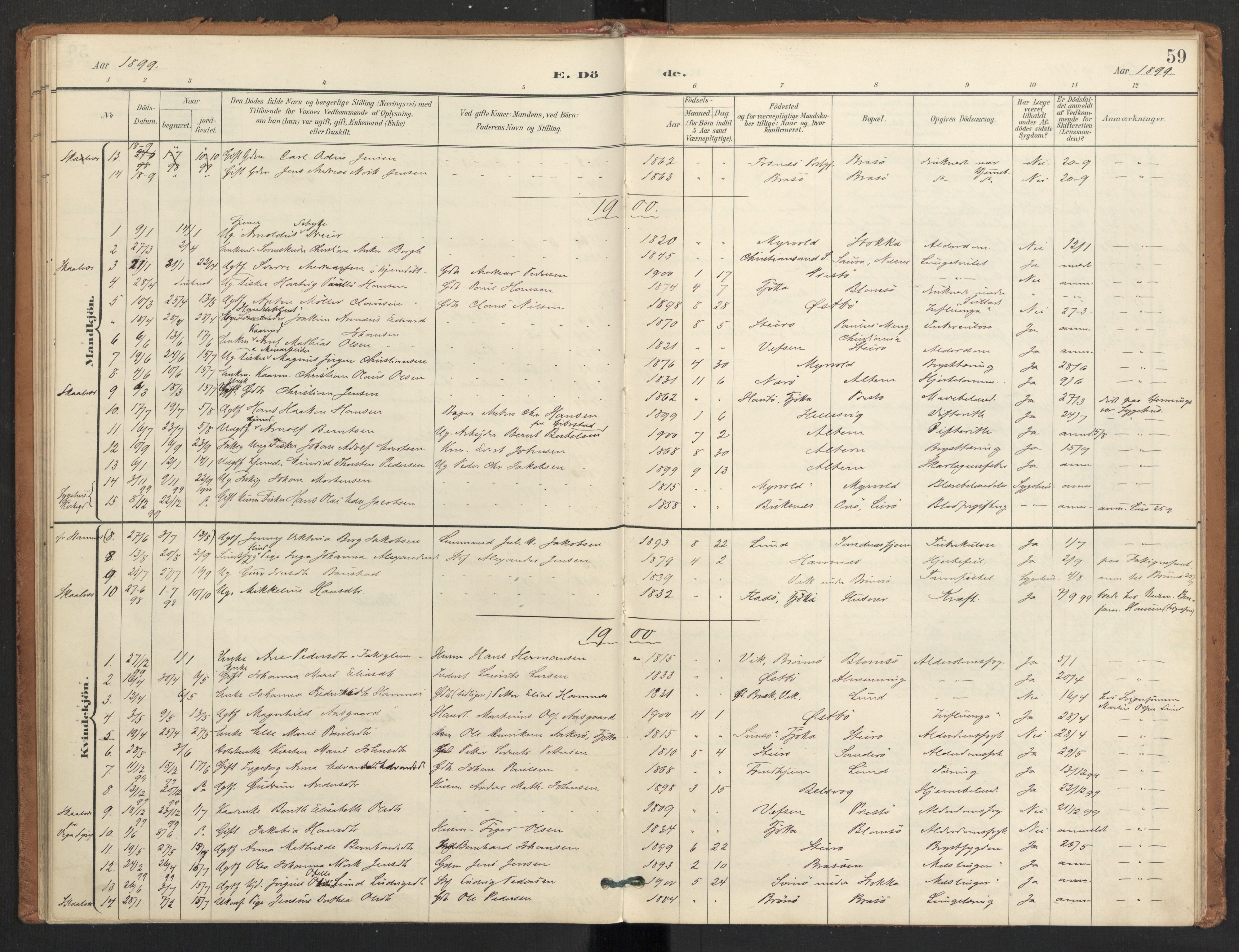 Ministerialprotokoller, klokkerbøker og fødselsregistre - Nordland, AV/SAT-A-1459/830/L0454: Parish register (official) no. 830A18, 1897-1913, p. 59