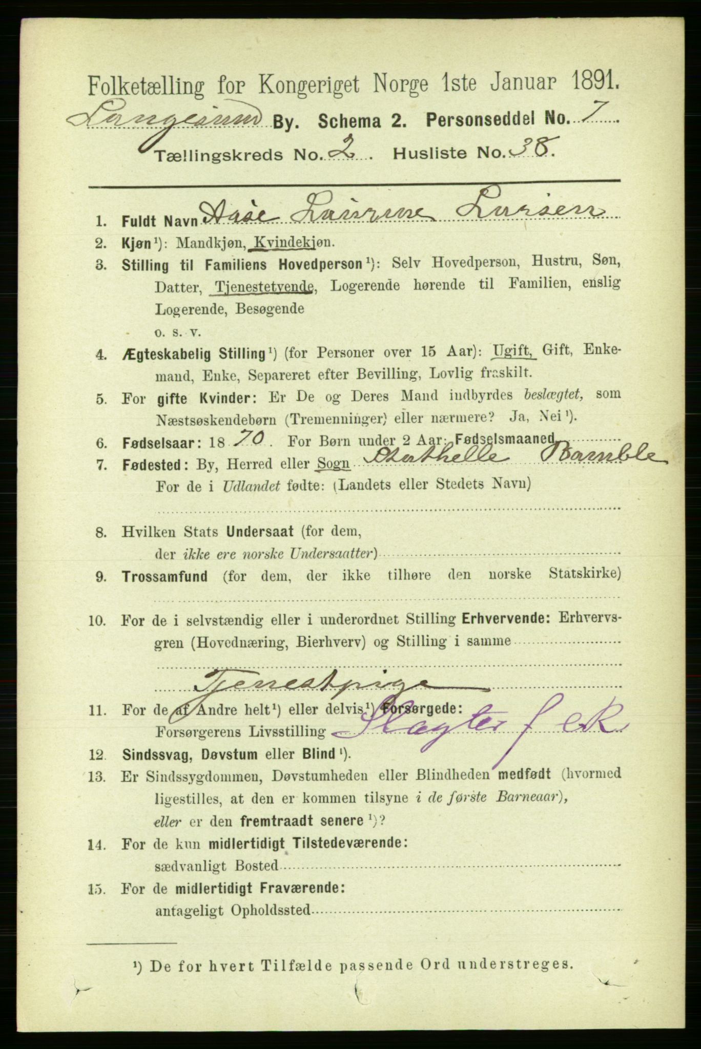 RA, 1891 census for 0802 Langesund, 1891, p. 896