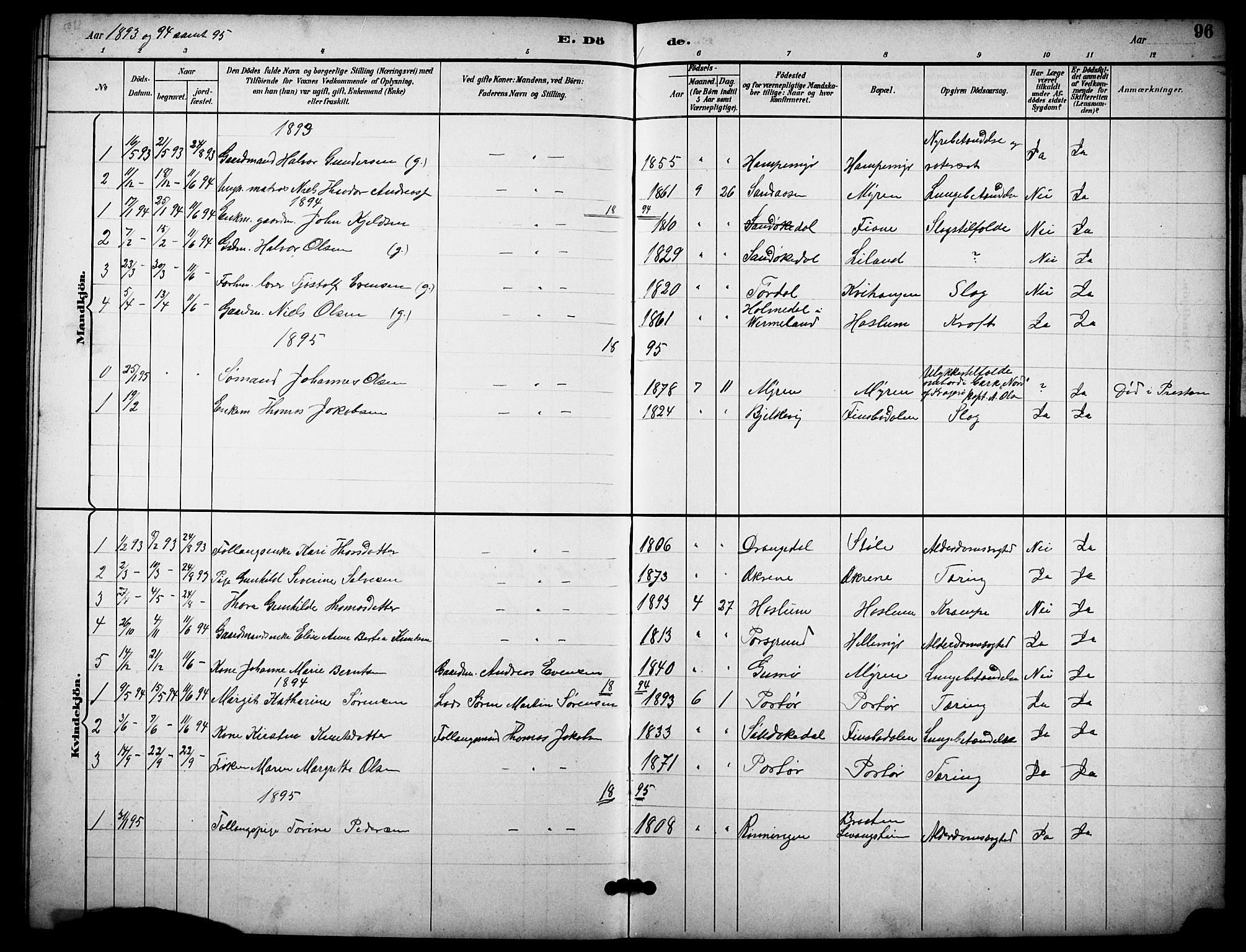 Skåtøy kirkebøker, AV/SAKO-A-304/G/Gb/L0001: Parish register (copy) no. II 1, 1892-1916, p. 96