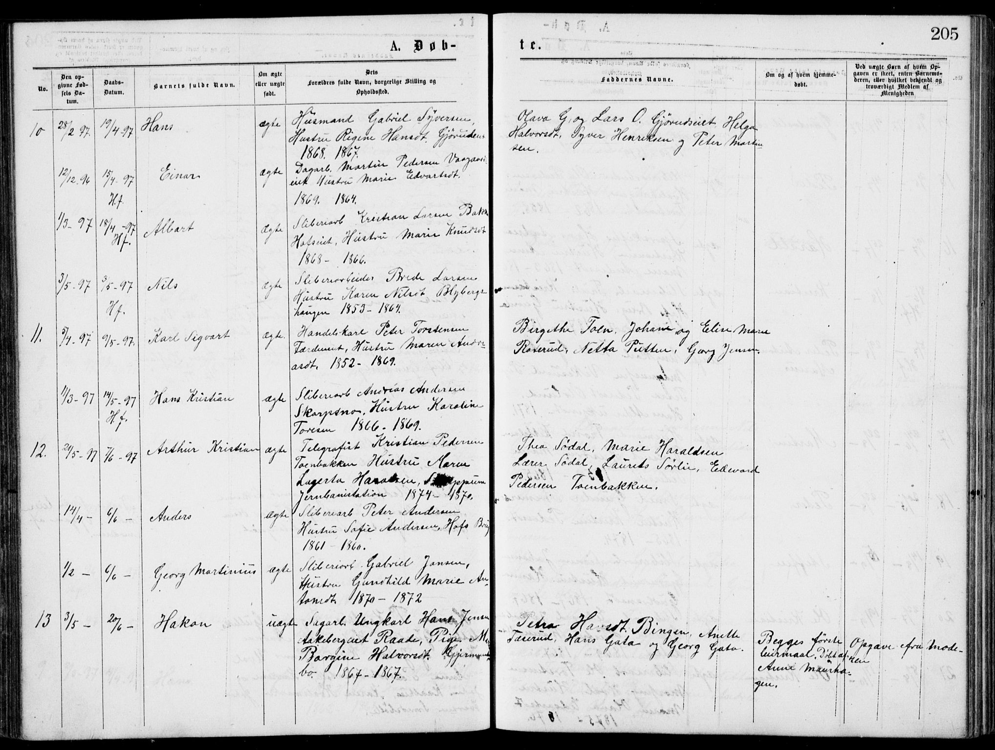 Norderhov kirkebøker, SAKO/A-237/G/Gb/L0001: Parish register (copy) no. II 1, 1876-1899, p. 205