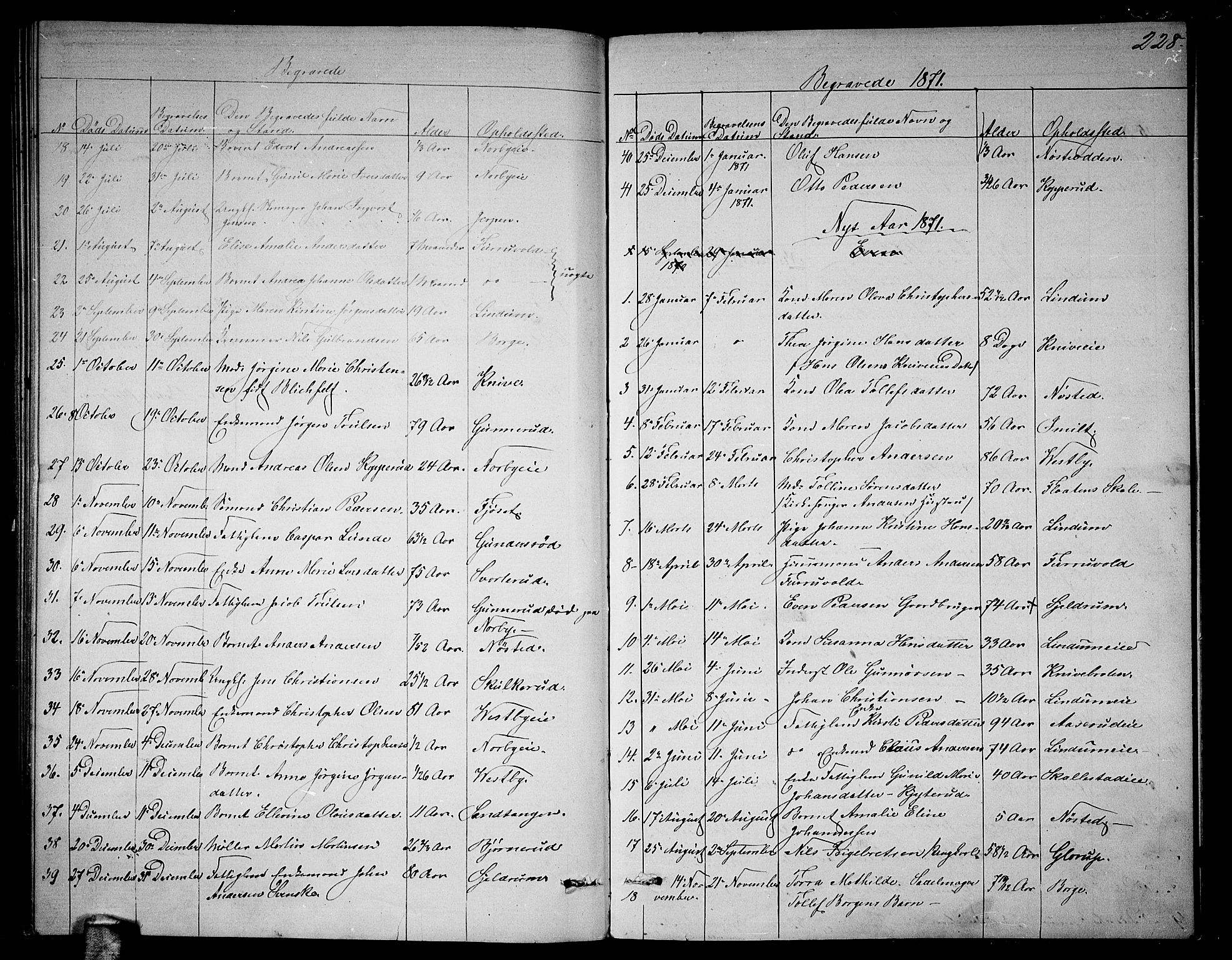 Skoger kirkebøker, AV/SAKO-A-59/G/Ga/L0002: Parish register (copy) no. I 2, 1860-1880, p. 228