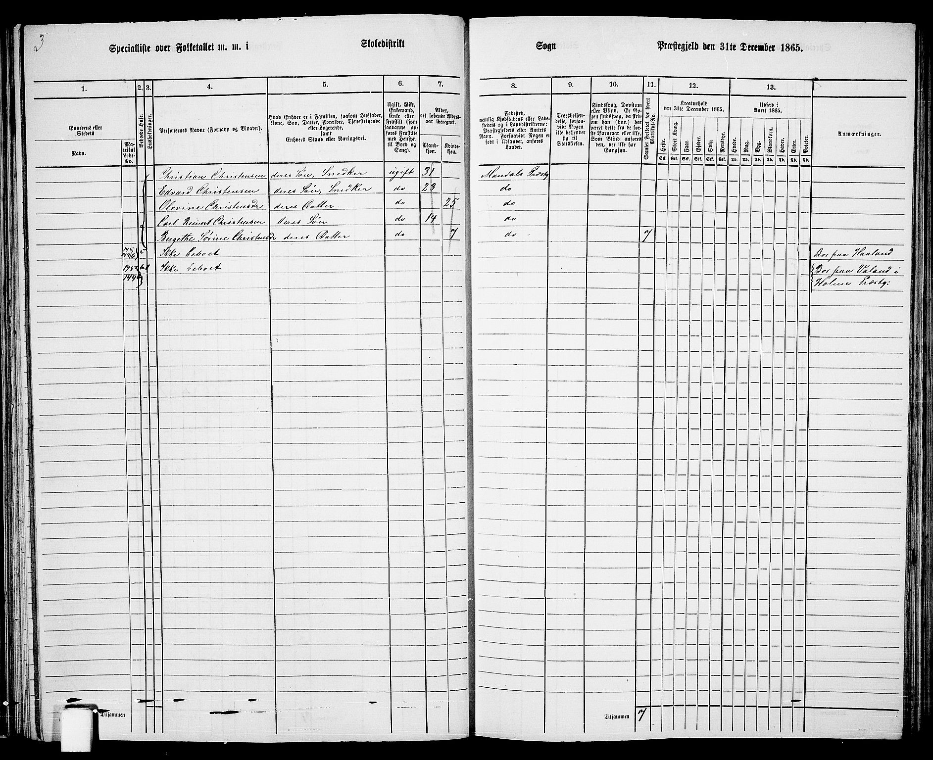 RA, 1865 census for Mandal/Halse og Harkmark, 1865, p. 60