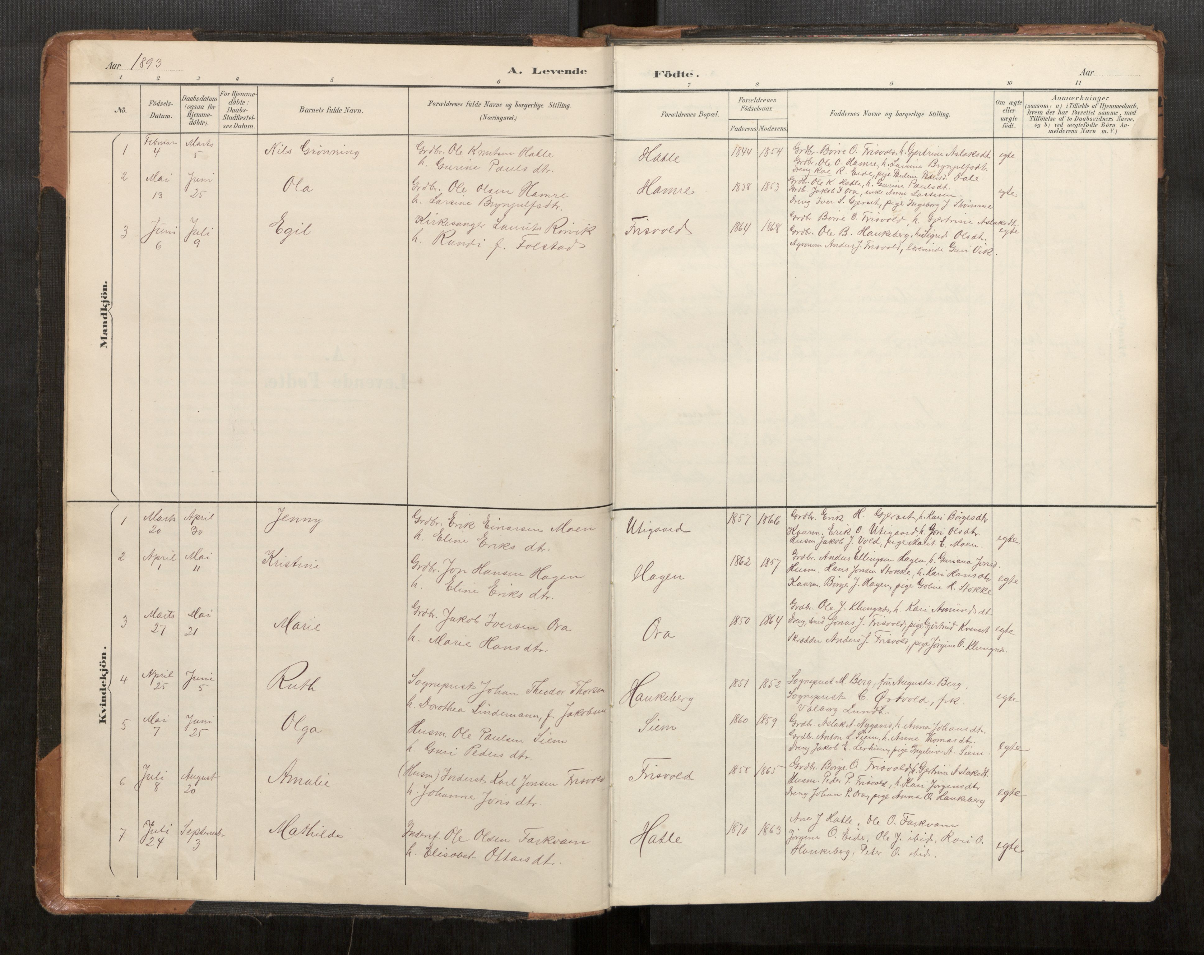 Ministerialprotokoller, klokkerbøker og fødselsregistre - Møre og Romsdal, AV/SAT-A-1454/542/L0561: Parish register (copy) no. 542C03, 1893-1931