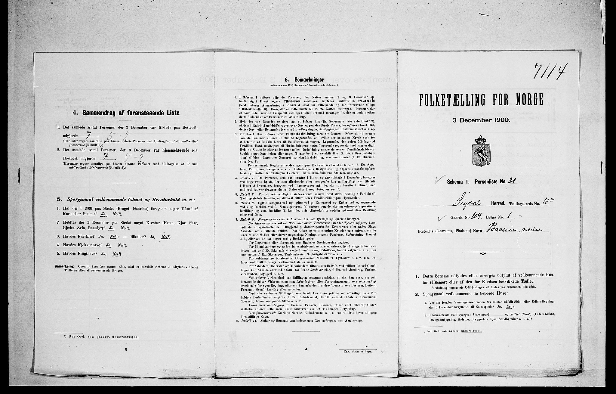 RA, 1900 census for Sigdal, 1900, p. 901