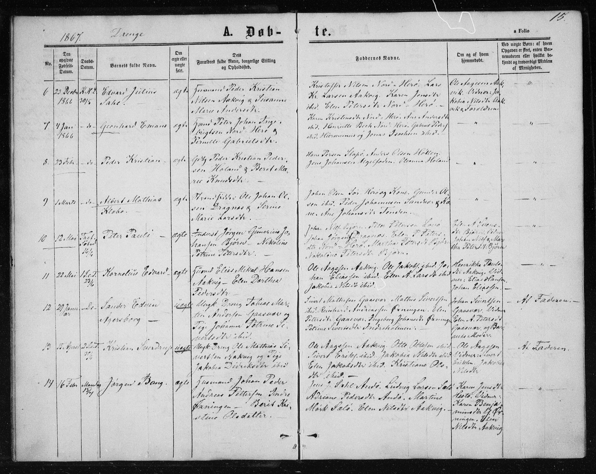 Ministerialprotokoller, klokkerbøker og fødselsregistre - Nordland, AV/SAT-A-1459/834/L0505: Parish register (official) no. 834A03, 1862-1871, p. 15