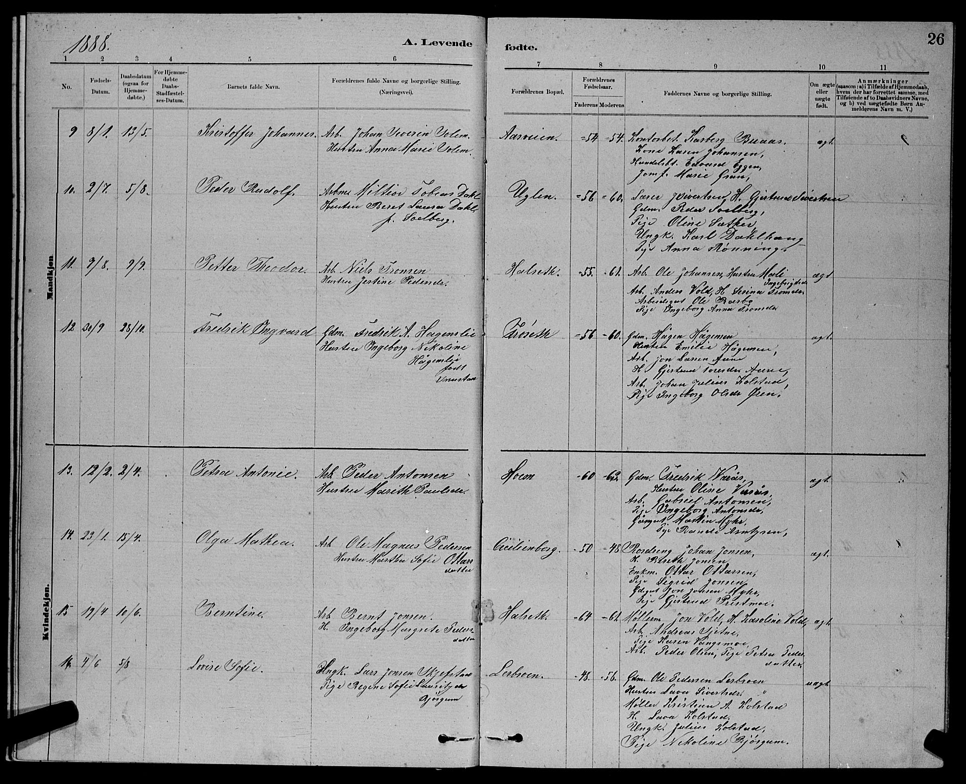 Ministerialprotokoller, klokkerbøker og fødselsregistre - Sør-Trøndelag, SAT/A-1456/611/L0354: Parish register (copy) no. 611C02, 1881-1896, p. 26