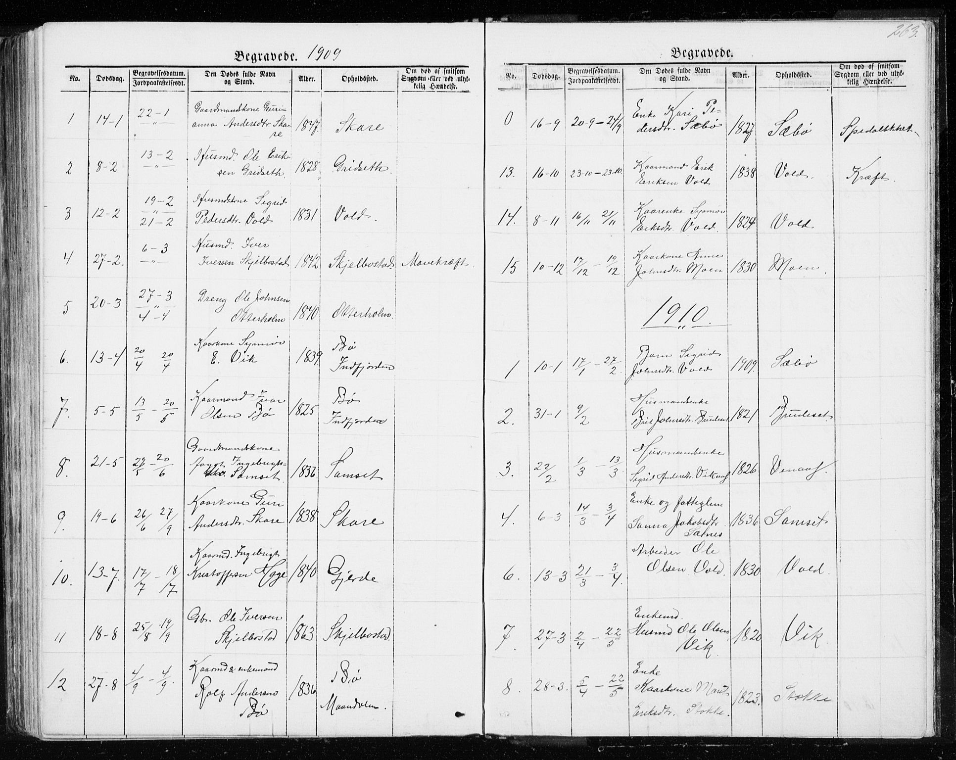 Ministerialprotokoller, klokkerbøker og fødselsregistre - Møre og Romsdal, SAT/A-1454/543/L0564: Parish register (copy) no. 543C02, 1867-1915, p. 263