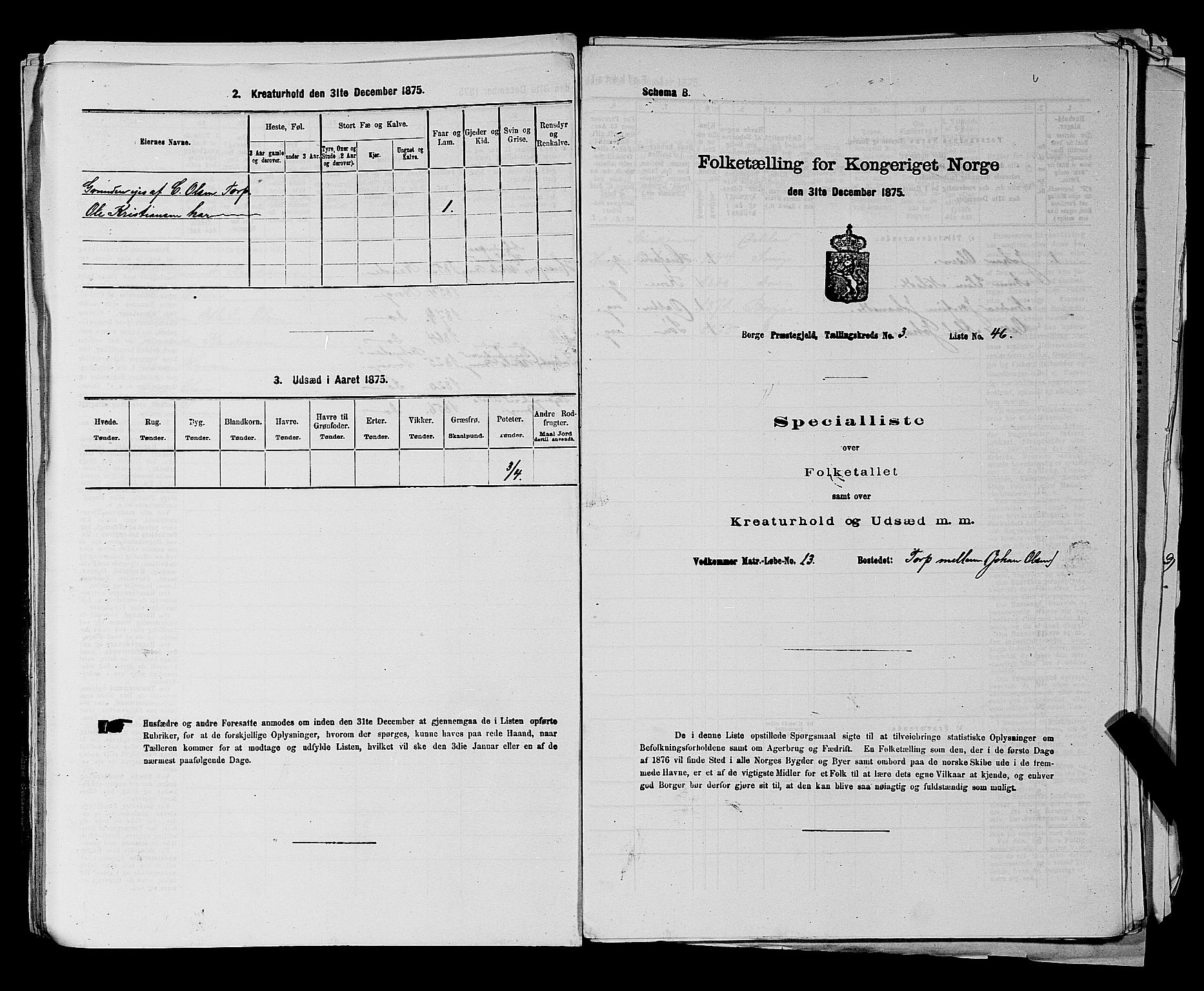 RA, 1875 census for 0113P Borge, 1875, p. 481