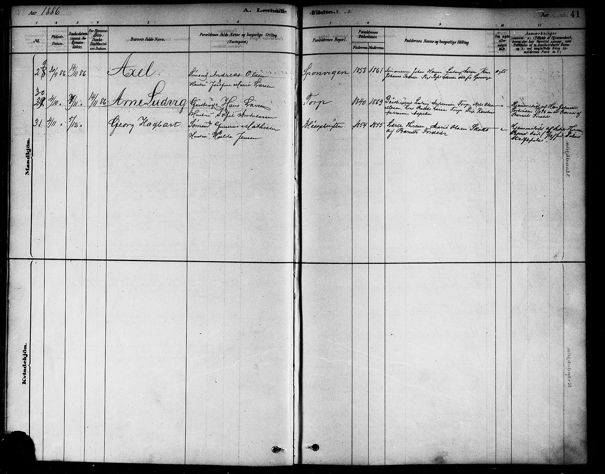 Berg prestekontor Kirkebøker, AV/SAO-A-10902/F/Fa/L0006: Parish register (official) no. I 6, 1878-1887, p. 41