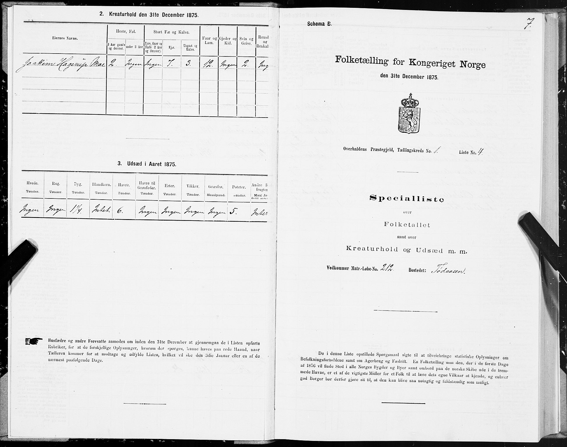 SAT, 1875 census for 1744P Overhalla, 1875, p. 1007