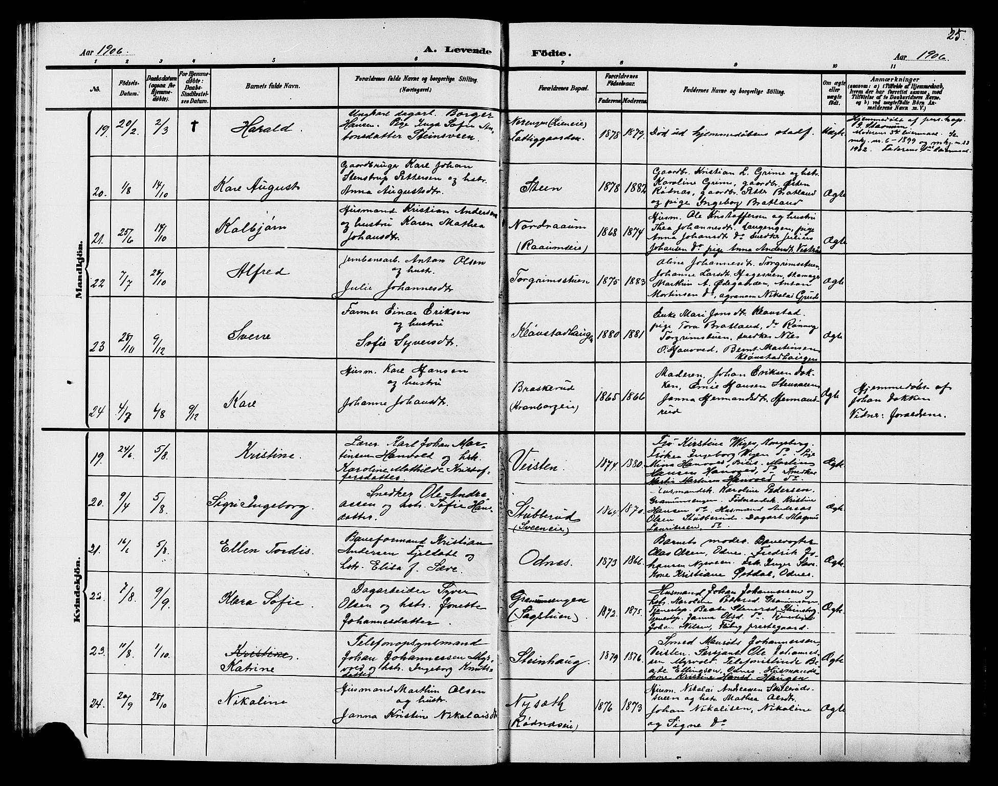 Søndre Land prestekontor, AV/SAH-PREST-122/L/L0005: Parish register (copy) no. 5, 1902-1911, p. 25