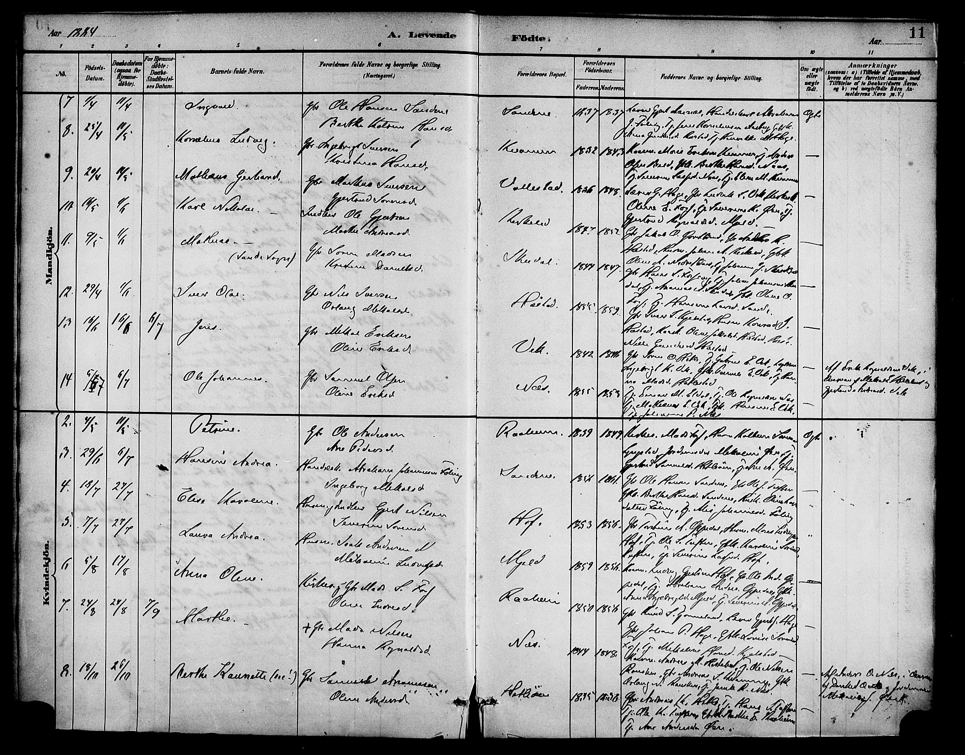 Gaular sokneprestembete, AV/SAB-A-80001/H/Haa: Parish register (official) no. D 1, 1882-1899, p. 11