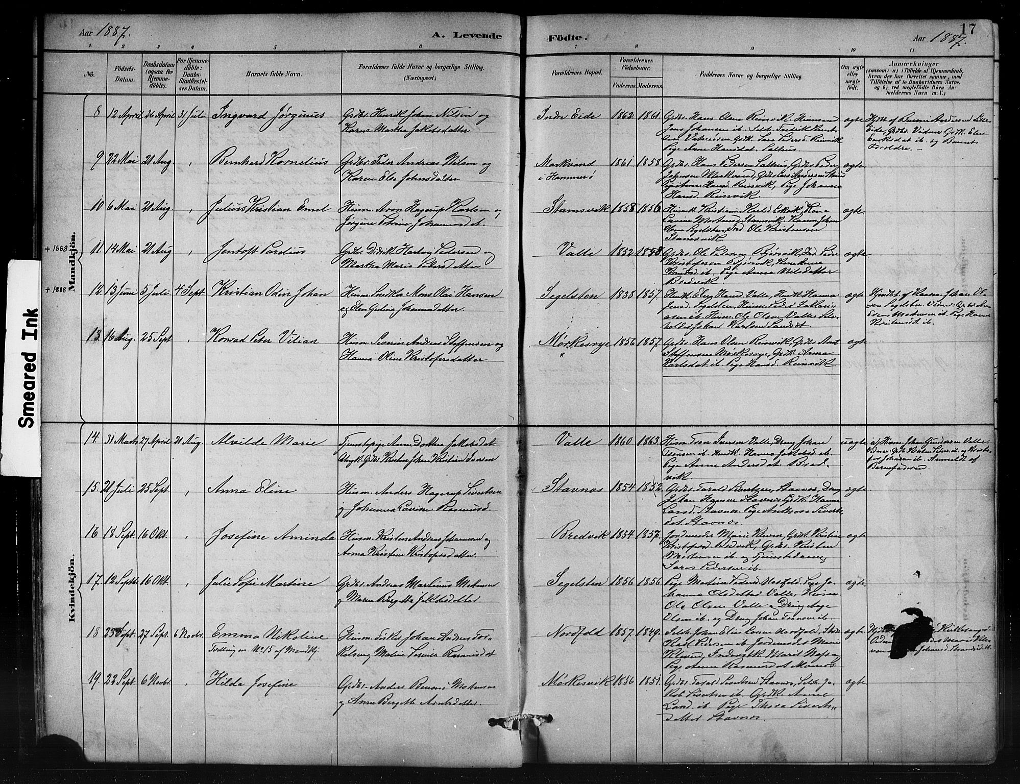 Ministerialprotokoller, klokkerbøker og fødselsregistre - Nordland, AV/SAT-A-1459/858/L0831: Parish register (official) no. 858A01, 1884-1902, p. 17