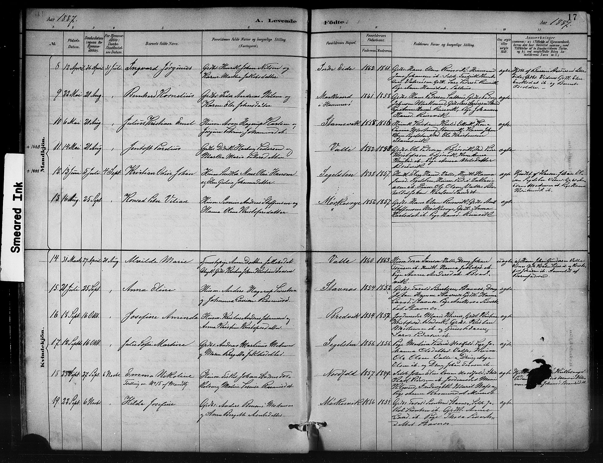 Ministerialprotokoller, klokkerbøker og fødselsregistre - Nordland, AV/SAT-A-1459/858/L0831: Parish register (official) no. 858A01, 1884-1902, p. 17