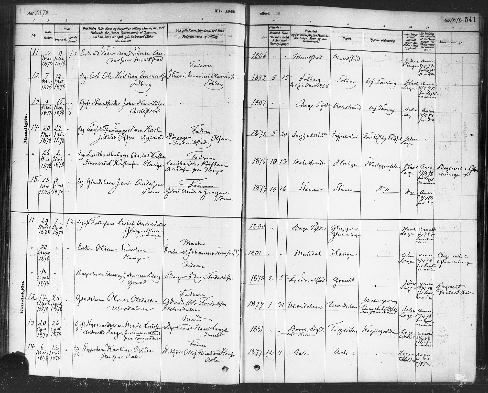 Onsøy prestekontor Kirkebøker, AV/SAO-A-10914/F/Fa/L0006: Parish register (official) no. I 6, 1878-1898, p. 541